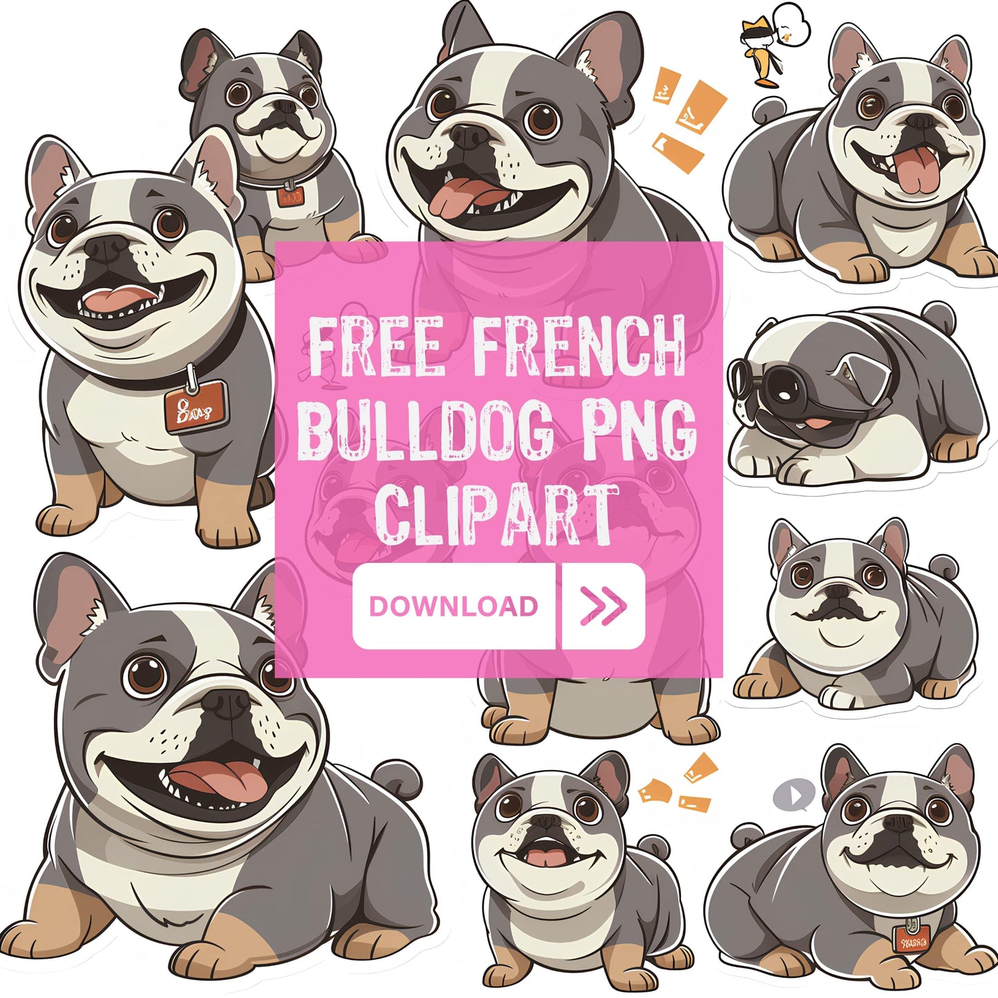 Cute Clipart French Bulldog Dog PNG Bundle