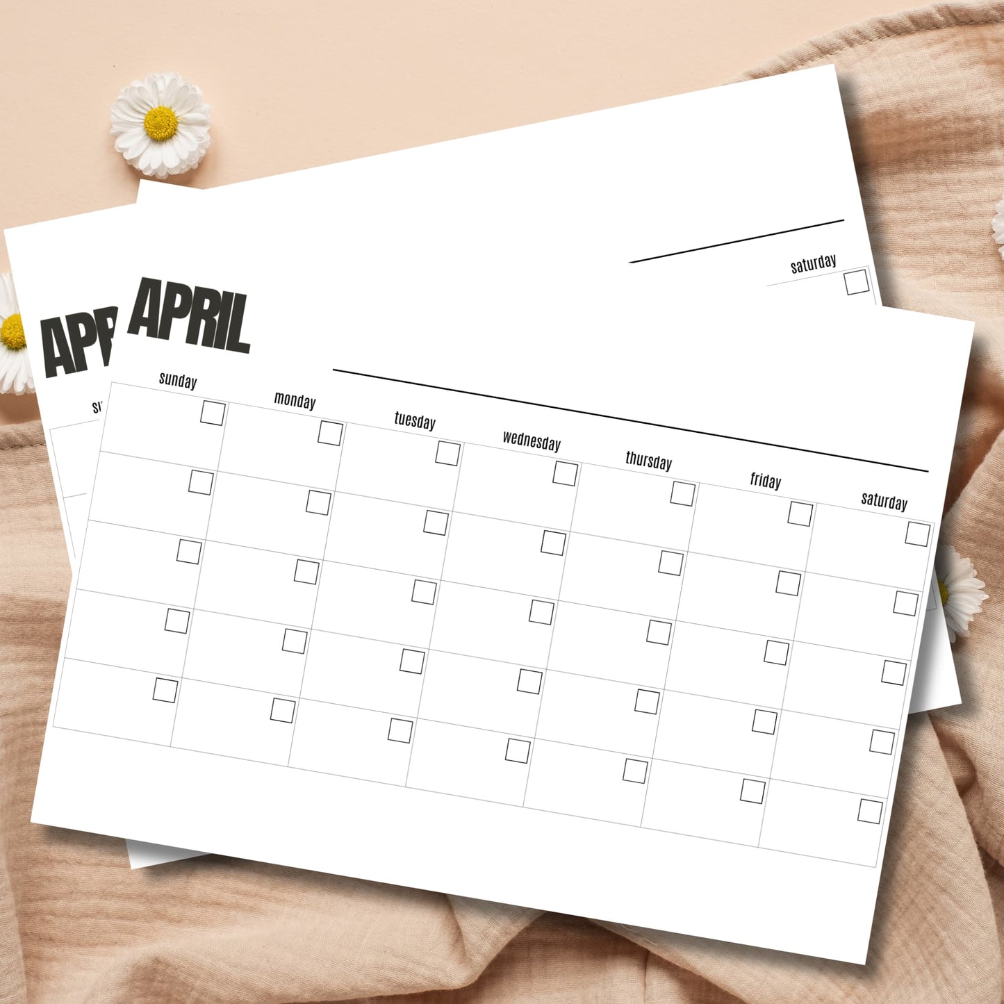 Free April blank monthly calendar template 8.5x11 printable Easter spring planner with white daisies