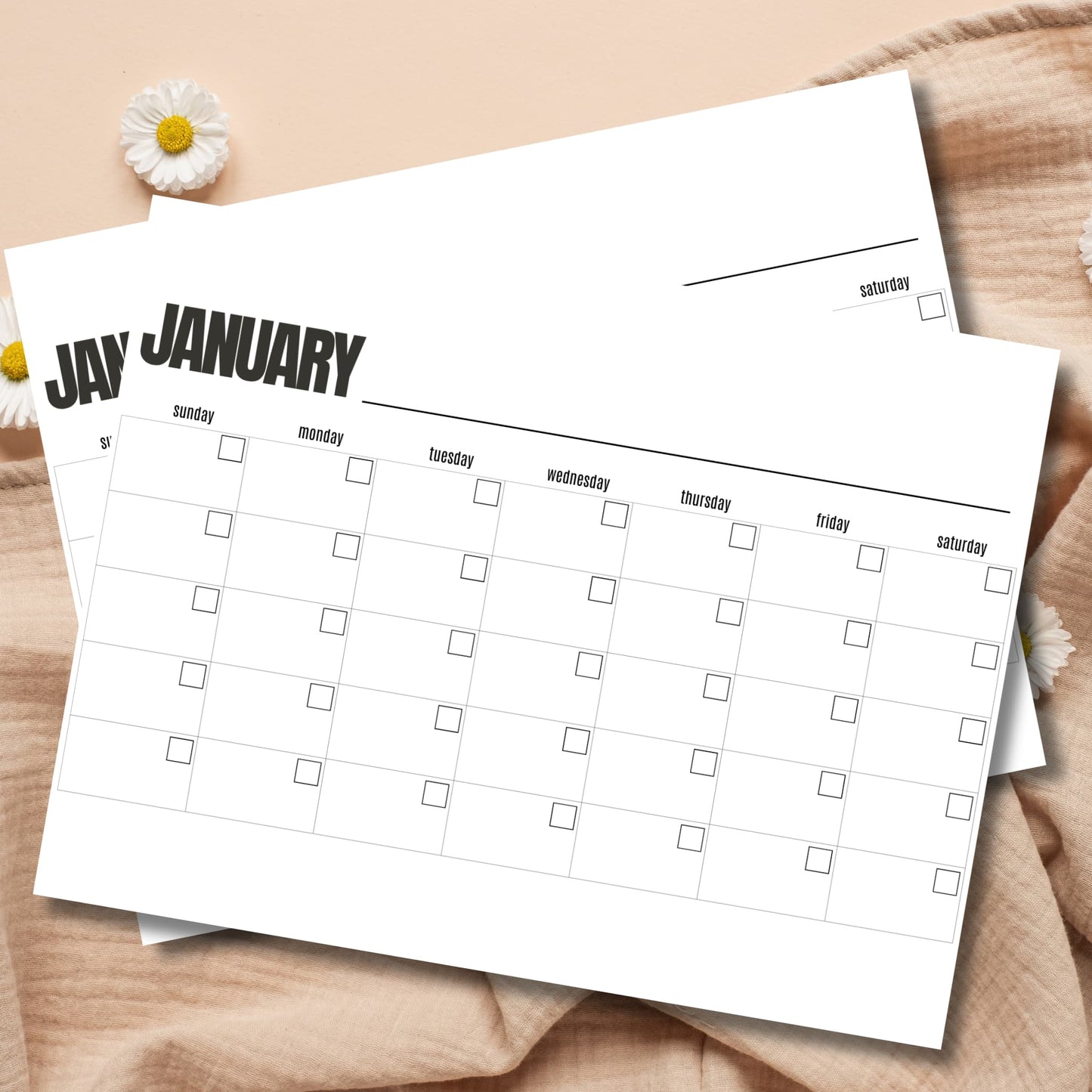 Free blank January calendar template 8.5x11 printable monthly planner displayed on wood with white daisies