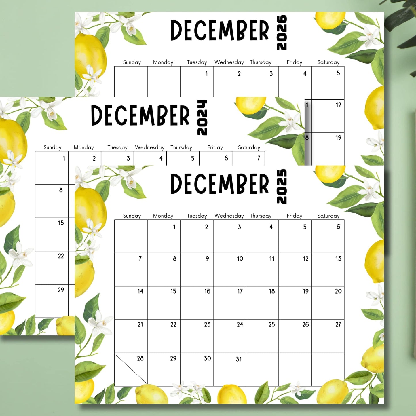 December calendars for 2024-2026 with lemon illustrations on mint green background. Staggered arrangement highlights yellow fruit and white flower border designs for end-of-year planning.