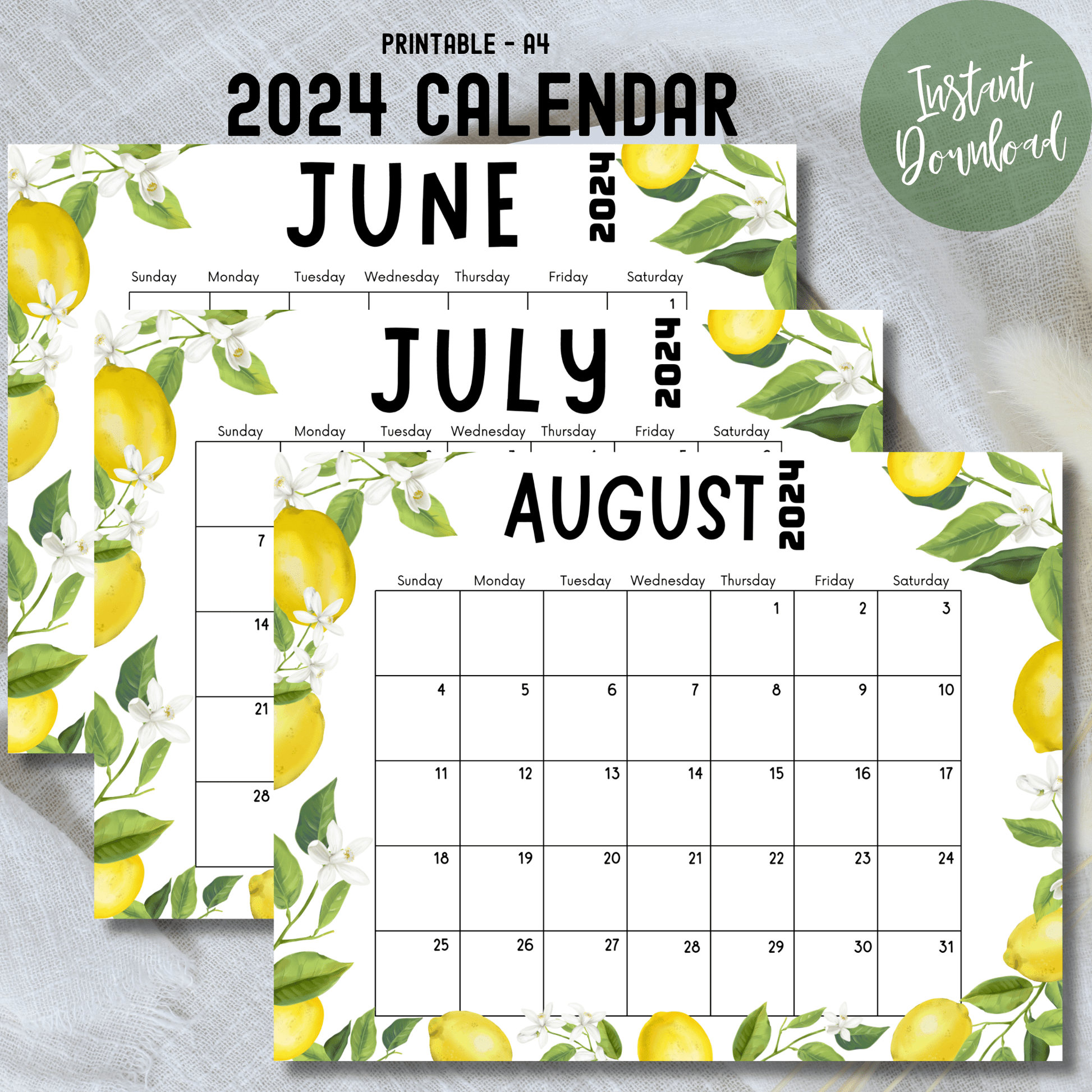 free 2024 Monthly Calendar Printable for June, July and August banner image