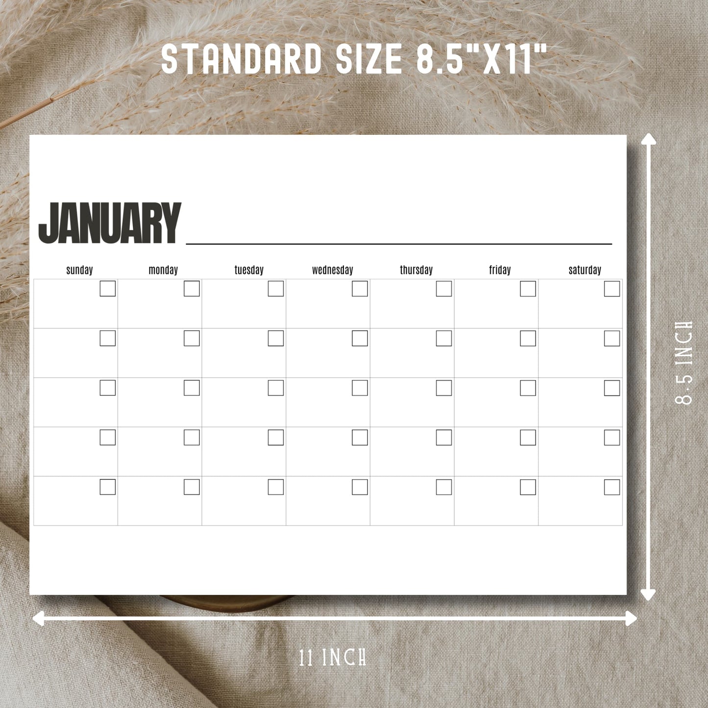 Free January calendar template showing standard 8.5x11 inch size dimensions with measurement guide