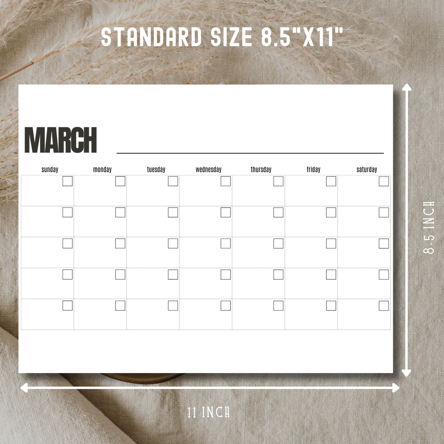Free March calendar template showing standard 8.5x11 inch dimensions for spring planning and organization