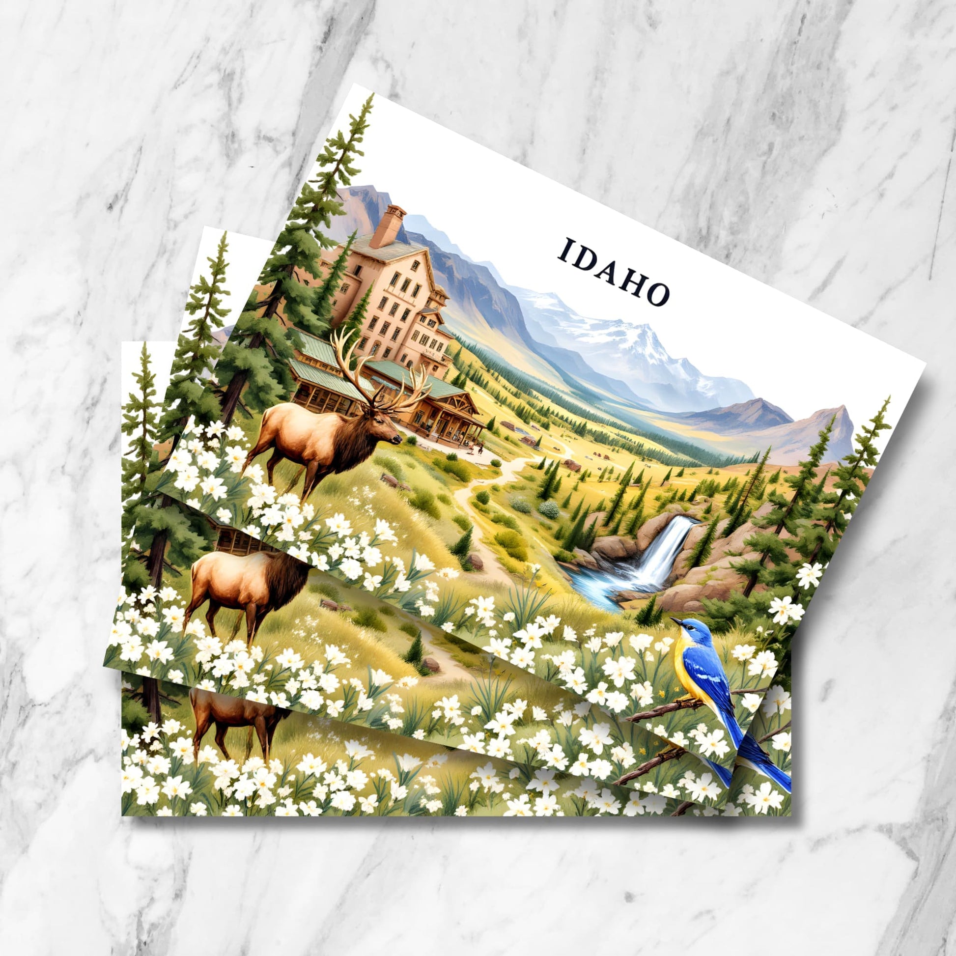 Stack of Idaho mountain postcards featuring historic mountain lodge, bull elk in meadow, pristine waterfall, mountain bluebird, and alpine wildflowers against snow-capped peaks