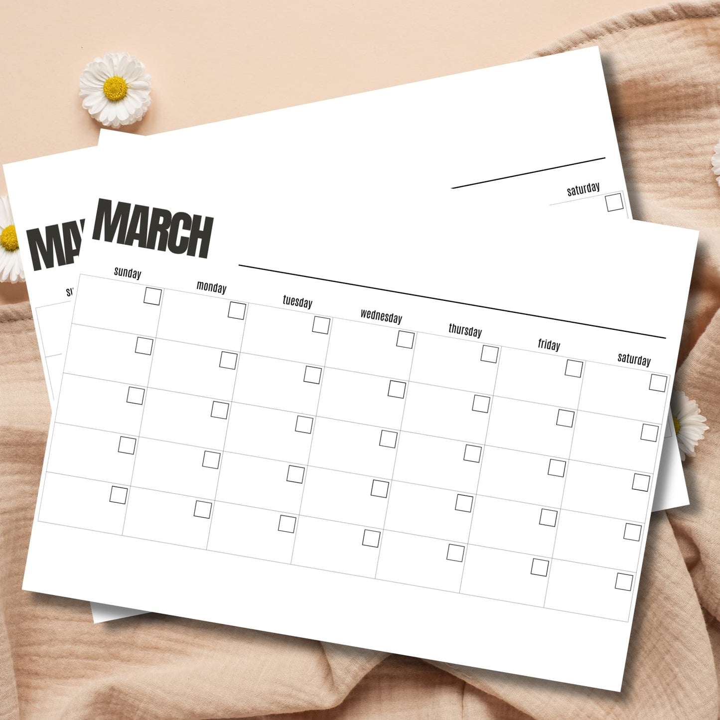 Free March blank calendar template 8.5x11 printable spring planner on wood background with white daisies