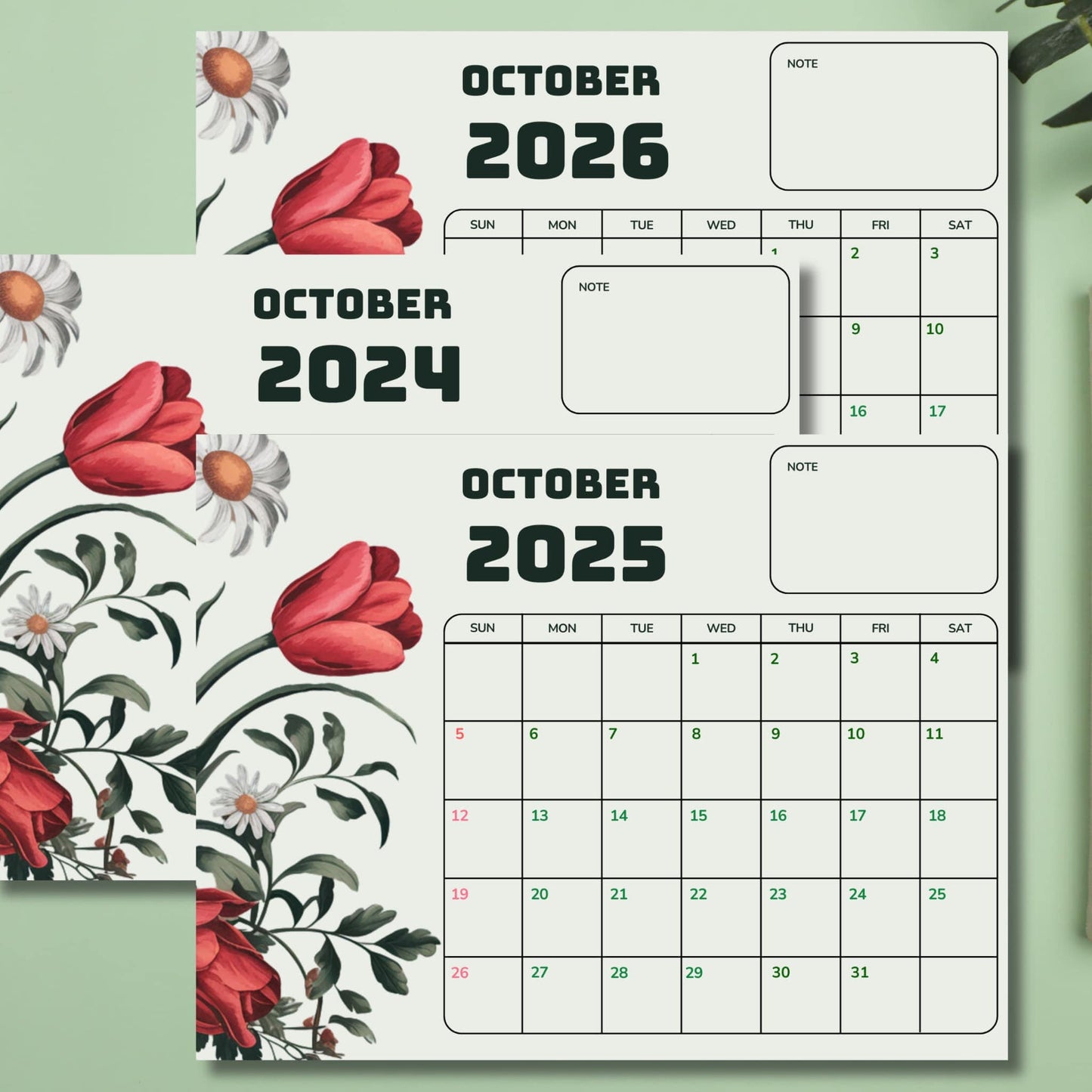 Set of October calendars for 2024-2026 with botanical design on mint green backdrop. Calendars show full month layouts, note areas, and decorative red tulips and white daisies.