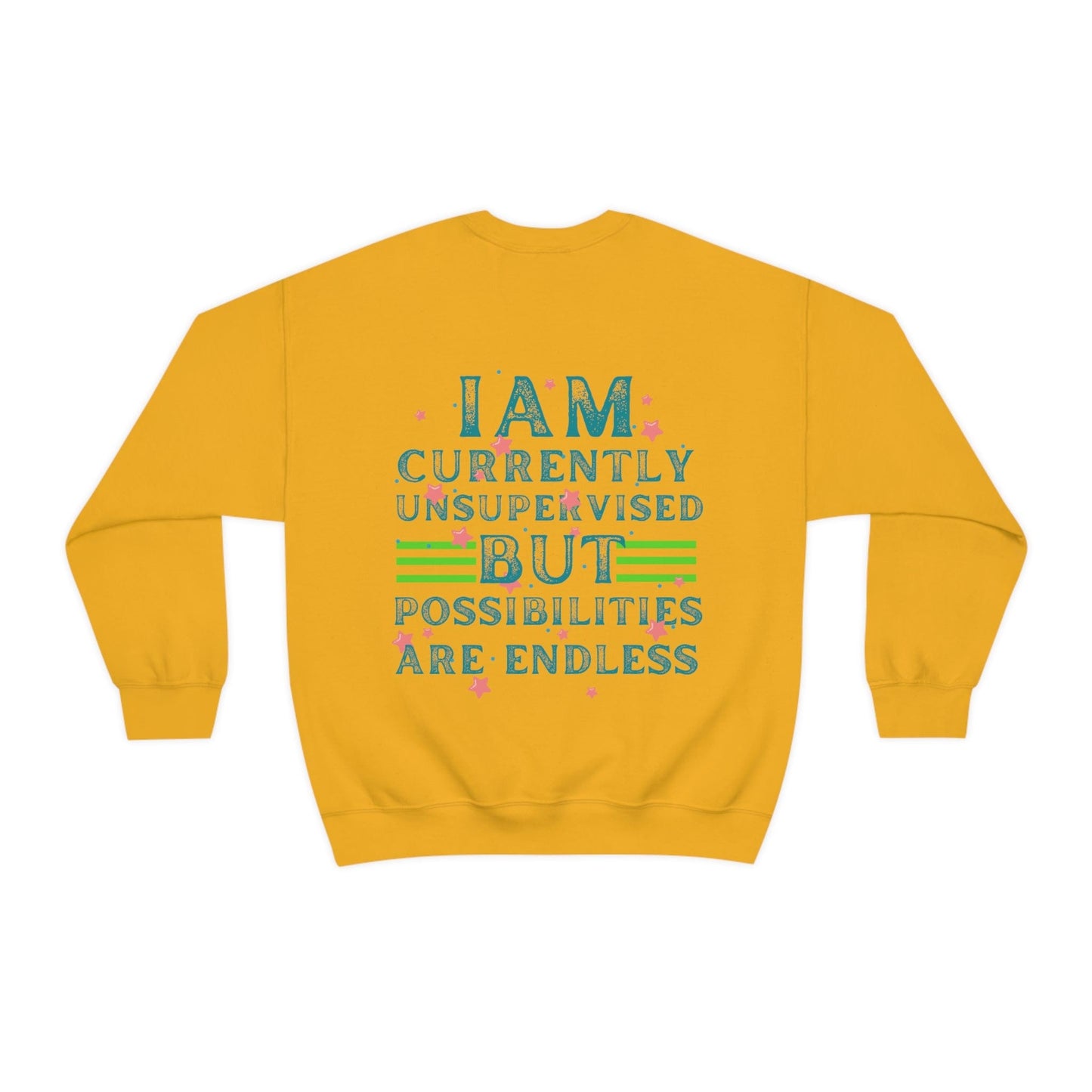 I Am Currently Unsupervised but Possibilities Are Endless Men's Oversized Sweatshirt with Back Print