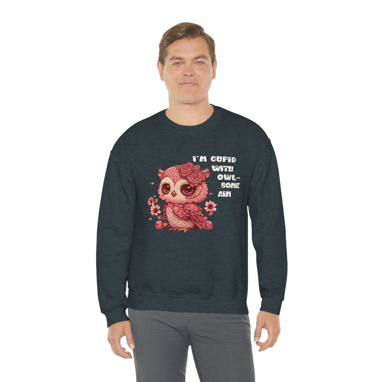 2023 Valentine's Day Gift: I'm Cupid with Owl, Some Aim Sweatshirt