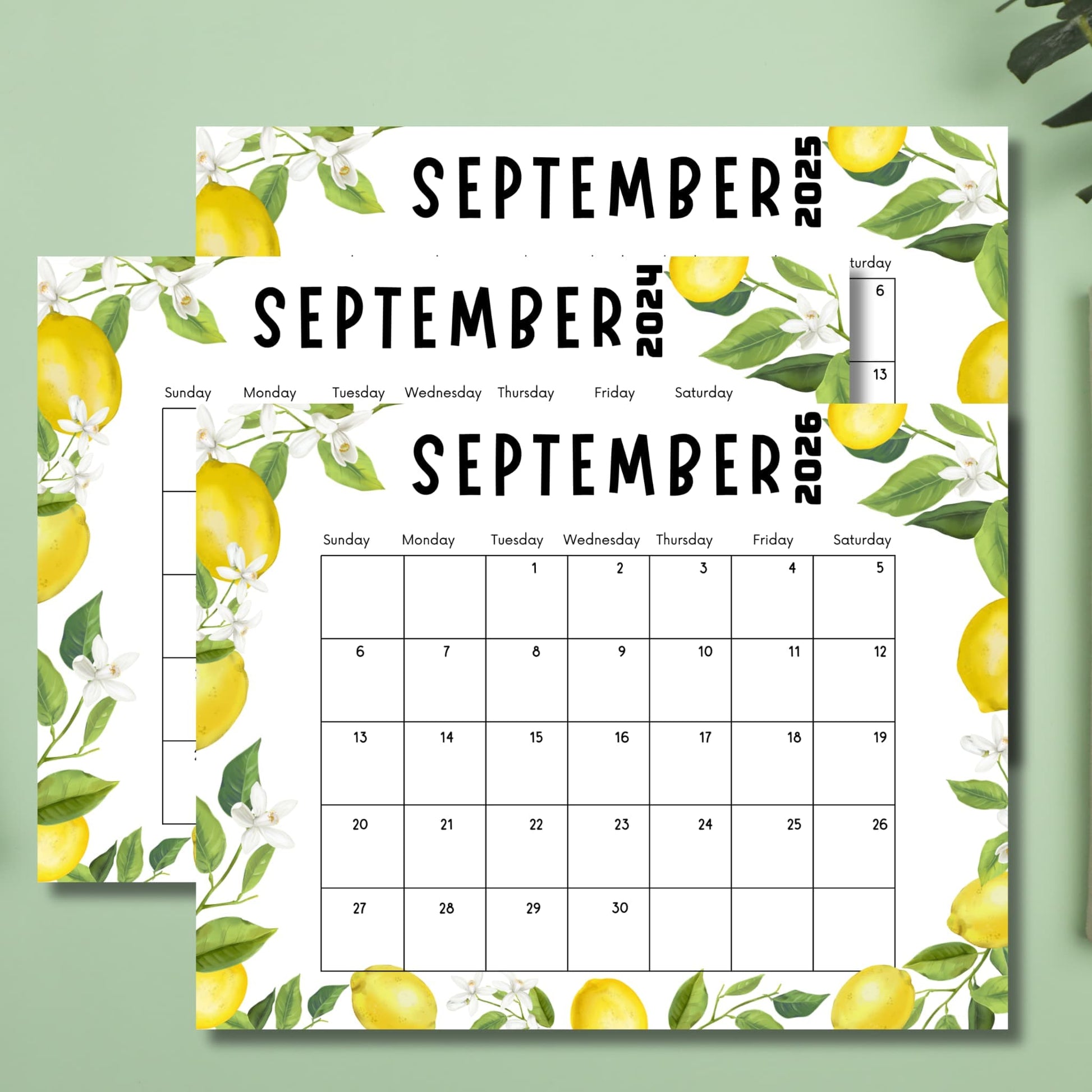 Three lemon-themed September calendars displayed against mint green background with plant leaves, showcasing versatile use.