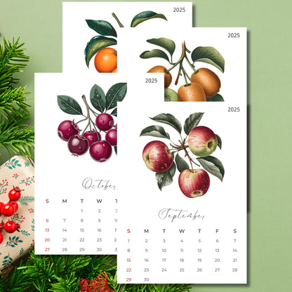 2025 calendar pages featuring September and October months with botanical watercolor illustrations of apples, cherries, oranges, and kiwis, Sunday start format with elegant script typography