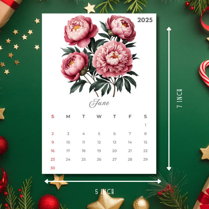 June 2025 calendar month showcasing pink peonies watercolor illustration, 5x7 inch size reference, displayed with holiday decorations on green background, Sunday start