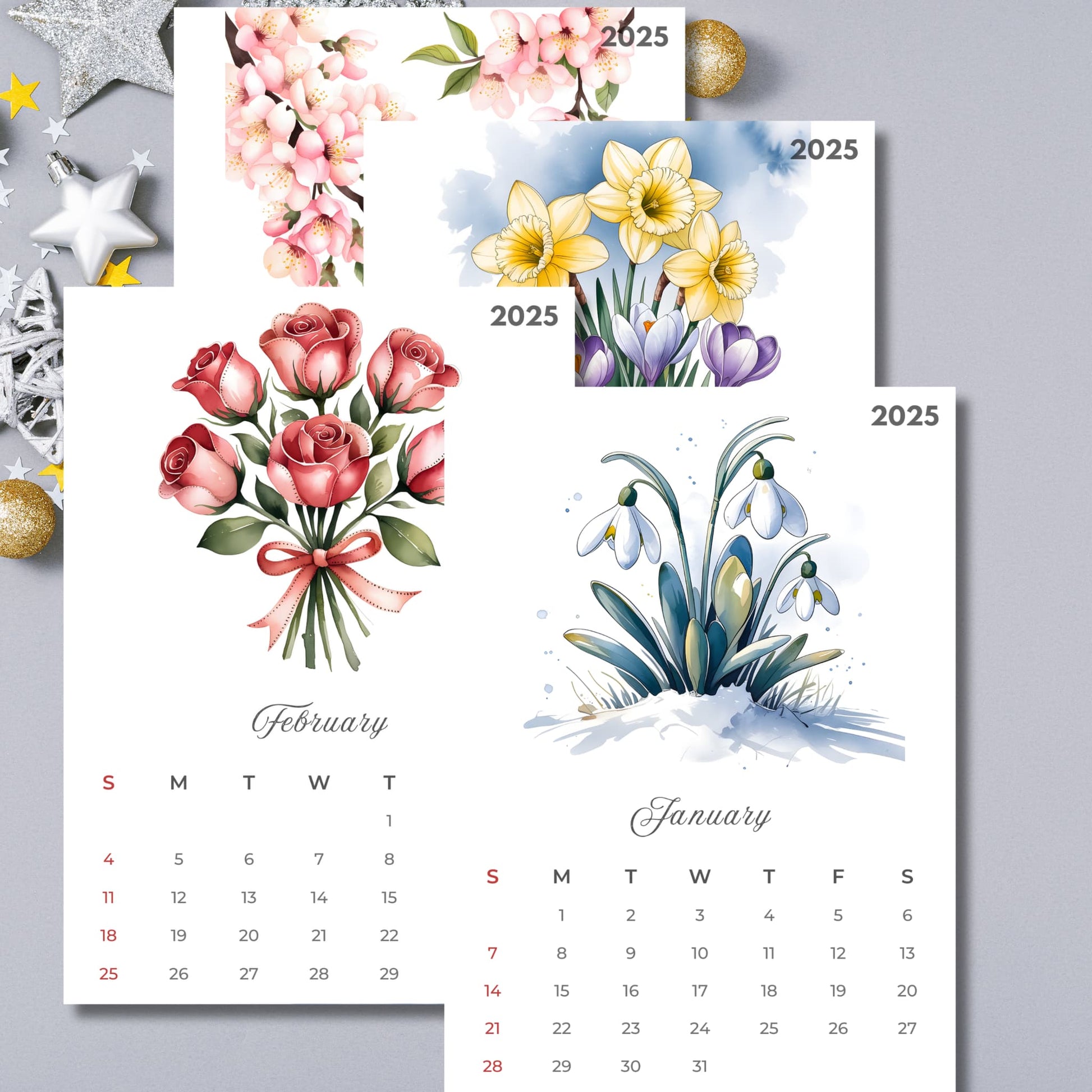 2025 calendar collection displaying January and February months with seasonal watercolor illustrations - snowdrops, daffodils, cherry blossoms, and pink roses bouquet