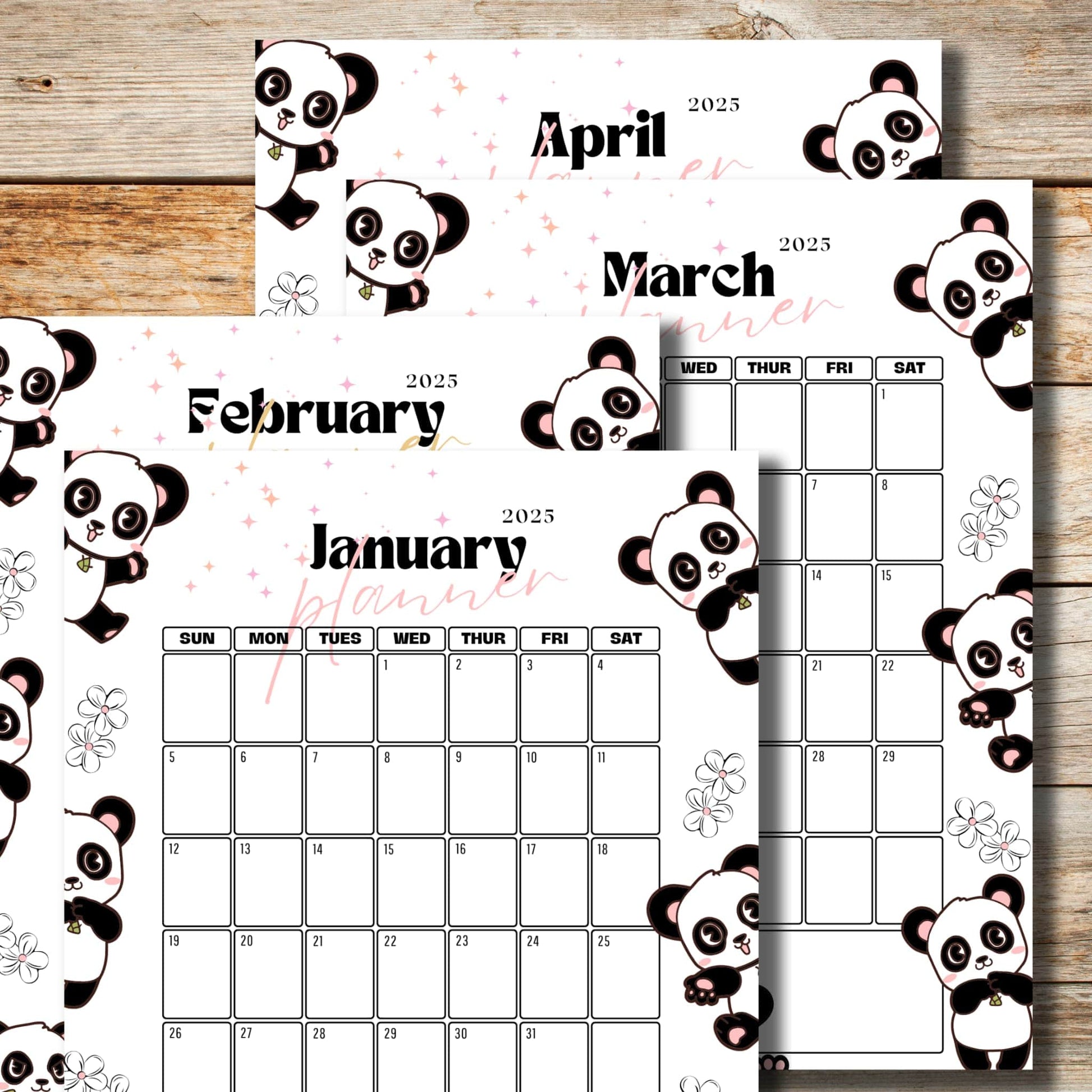 January to April 2025 calendar collection with adorable panda illustrations, cherry blossom details, and pink planner text overlay, Sunday start