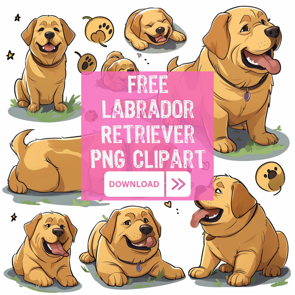 Labrador Retriever Dog PNG Bundle