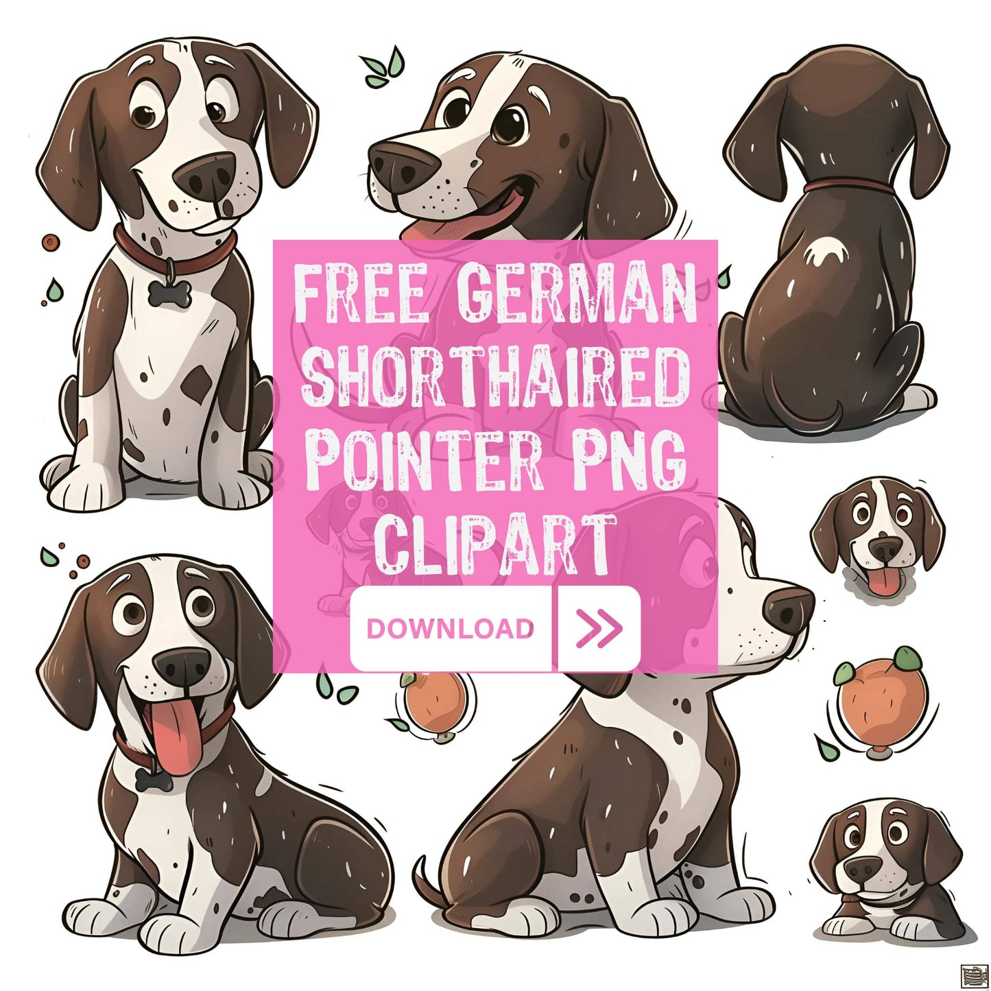 German Shorthaired Pointer Dog Clipart Set of 8 PNG Bundle