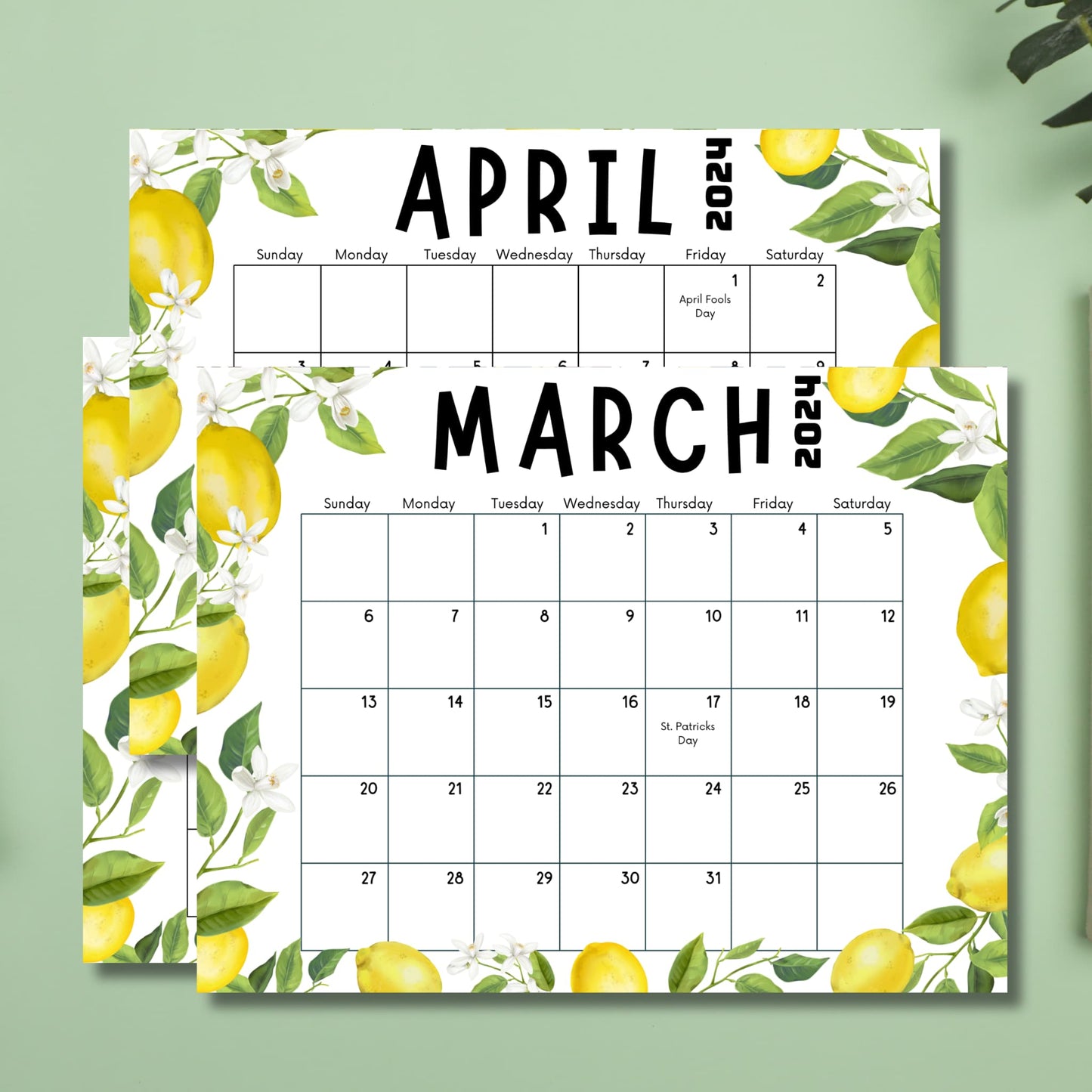 March, April, and May 2024 calendar sheets with a lemon and leaves motif, presented on a green background with a natural leaf, merging design with nature.