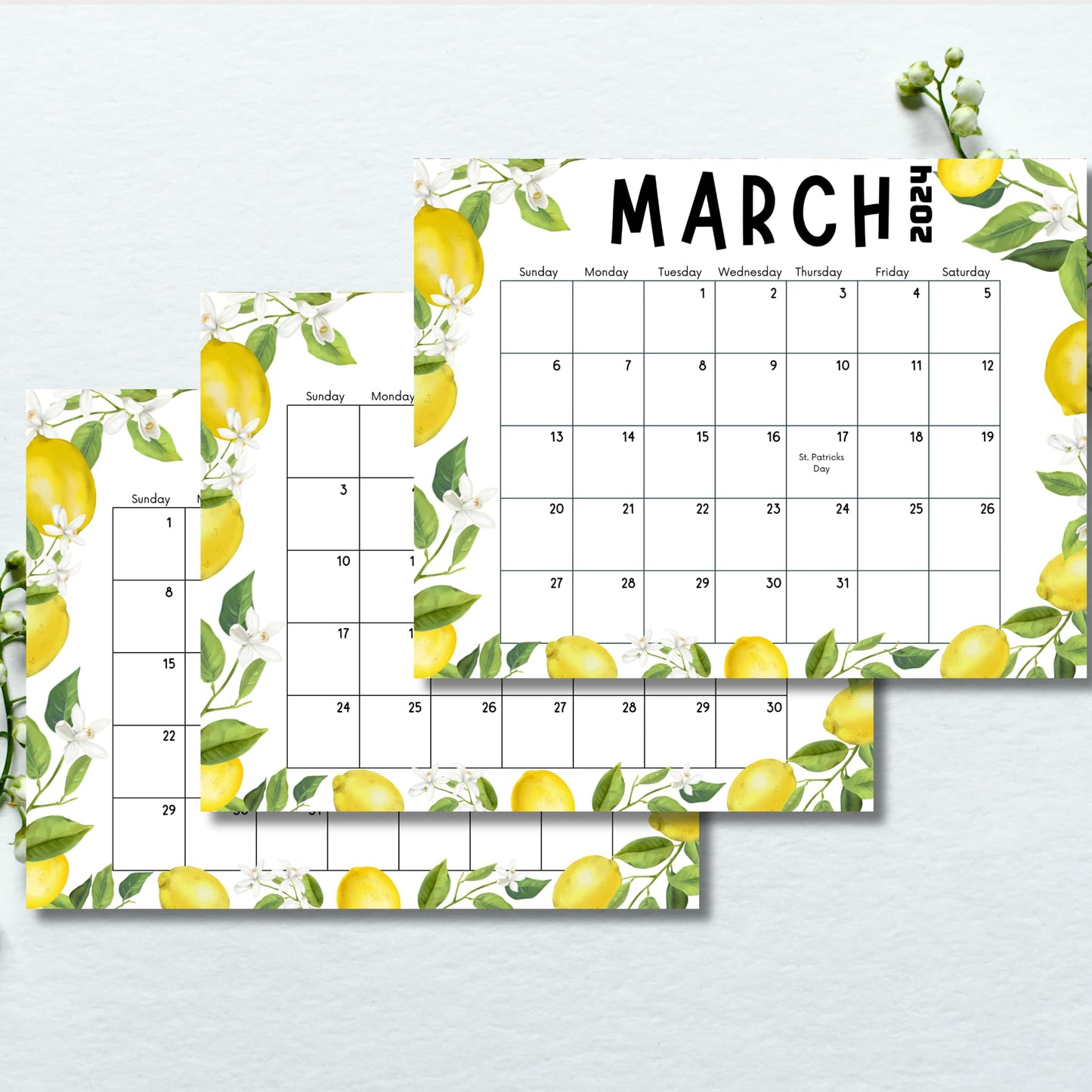 2024 Spring calendar pages for March to May against a serene blue background, highlighting the vibrant lemon and leaves design.