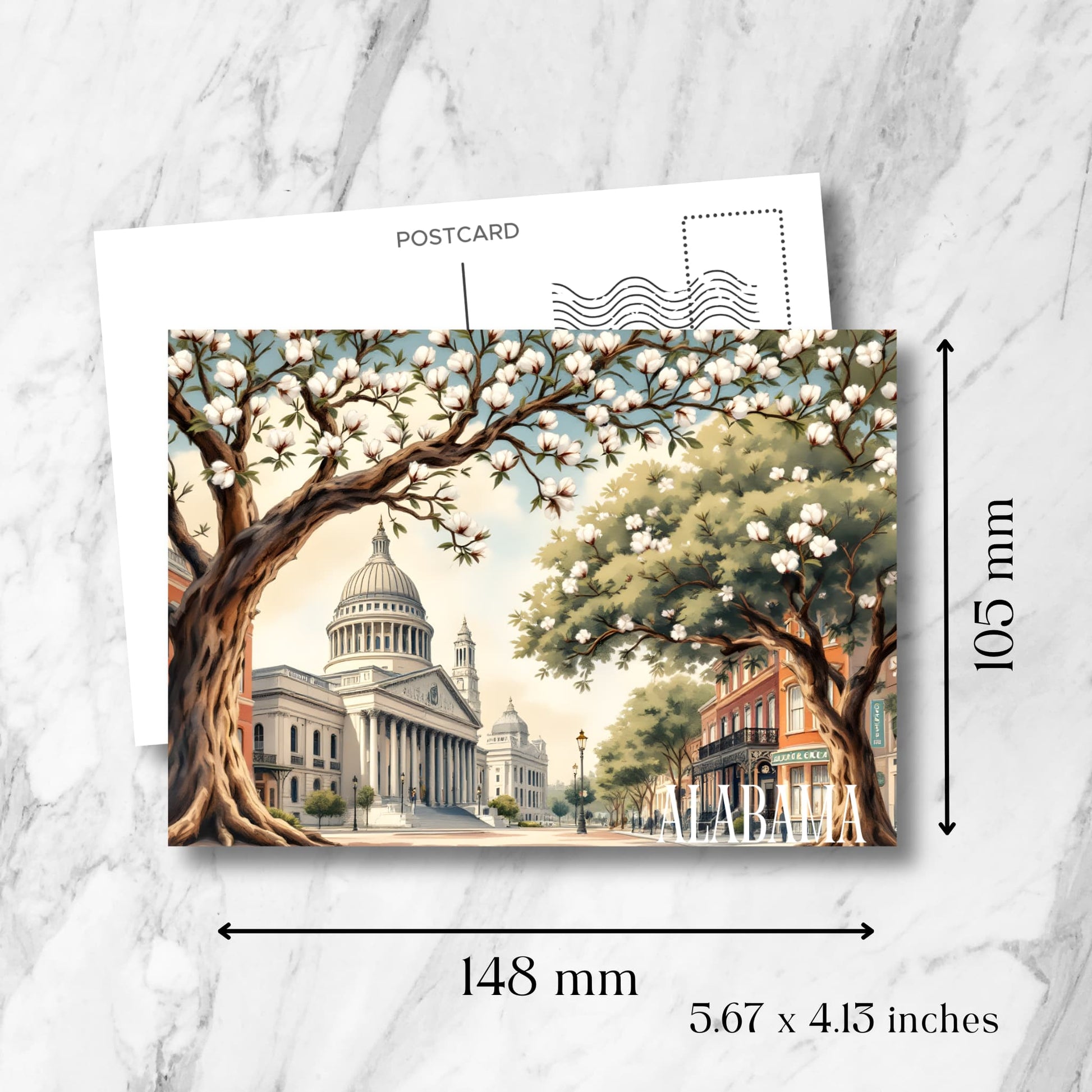 Alabama State Capitol postcard with cotton blossoms showing exact dimensions of 148x105mm (5.67x4.13 inches), featuring standard postcard layout with stamp area and postal markings on marble background