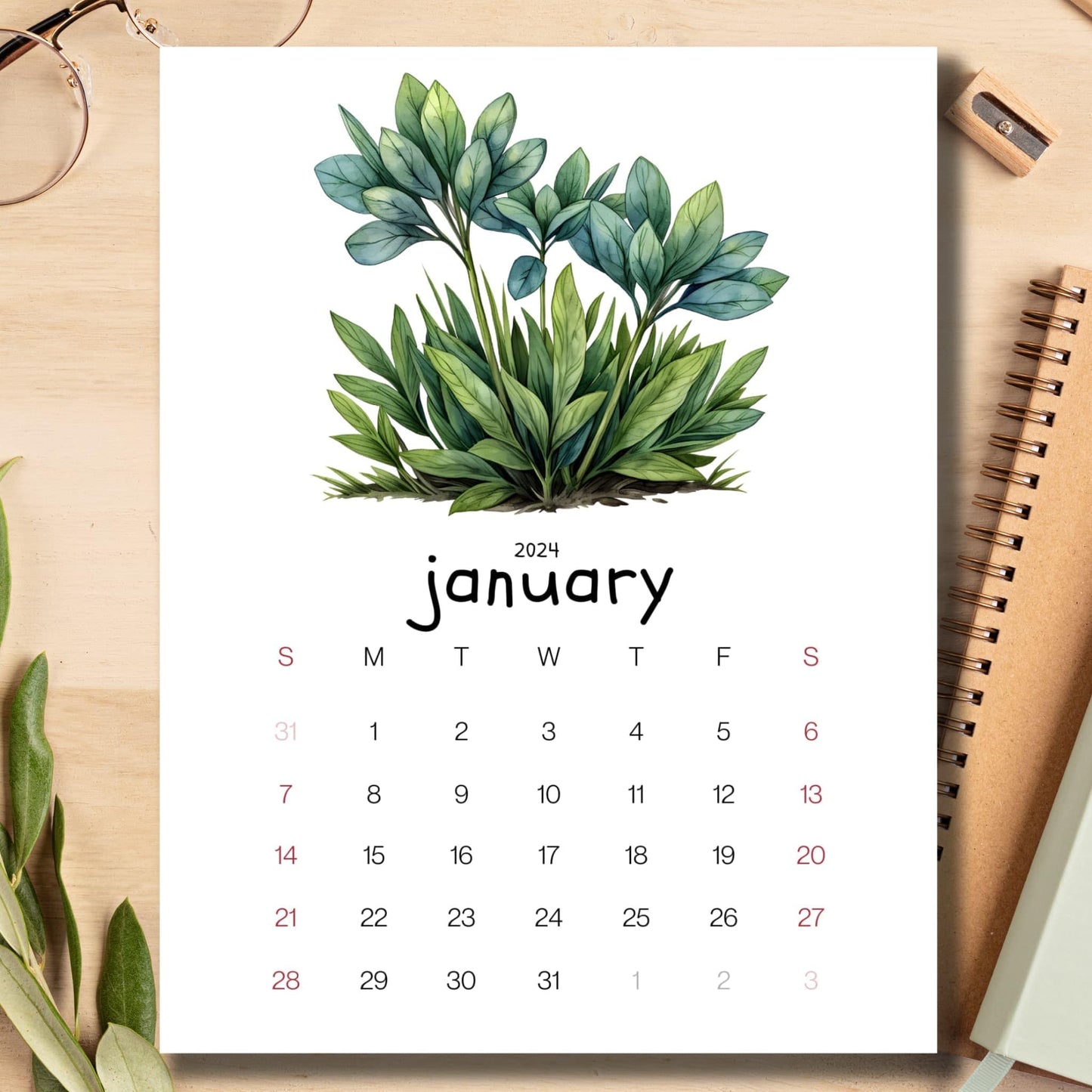 Alpine Plant January 2024 calendar on a light brown wooden desk with essential school supplies.