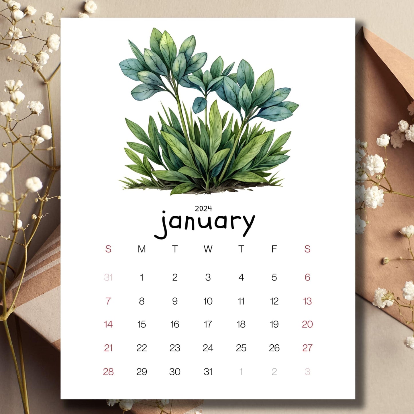 Alpine Plant January 2024 full year calendar displayed on a table with an envelope and delicate white flowers.