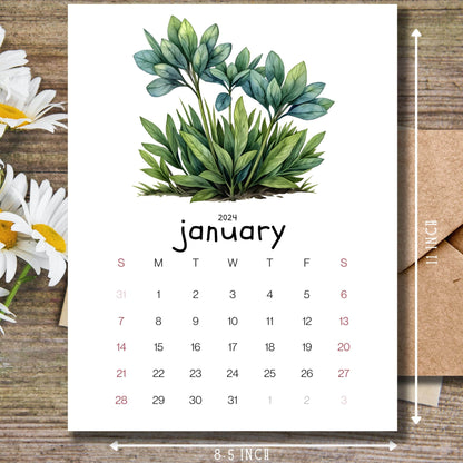  Alpine Plant January 2024 calendar on a wooden desk with white flowers and a size guide.