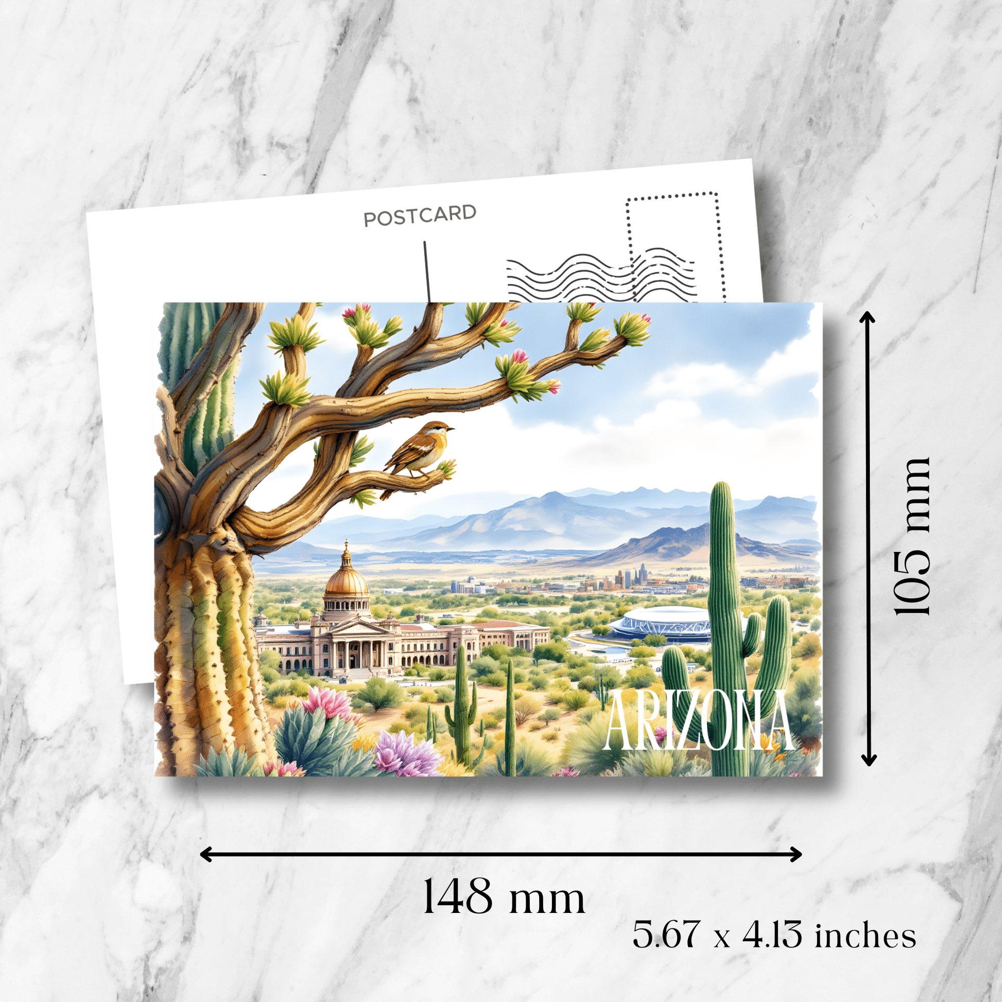 Arizona State Capitol postcard showing 148x105mm dimensions, featuring desert landscape with saguaro cacti, blooming succulents, desert sparrow, and Phoenix cityscape against mountain backdrop on marble background