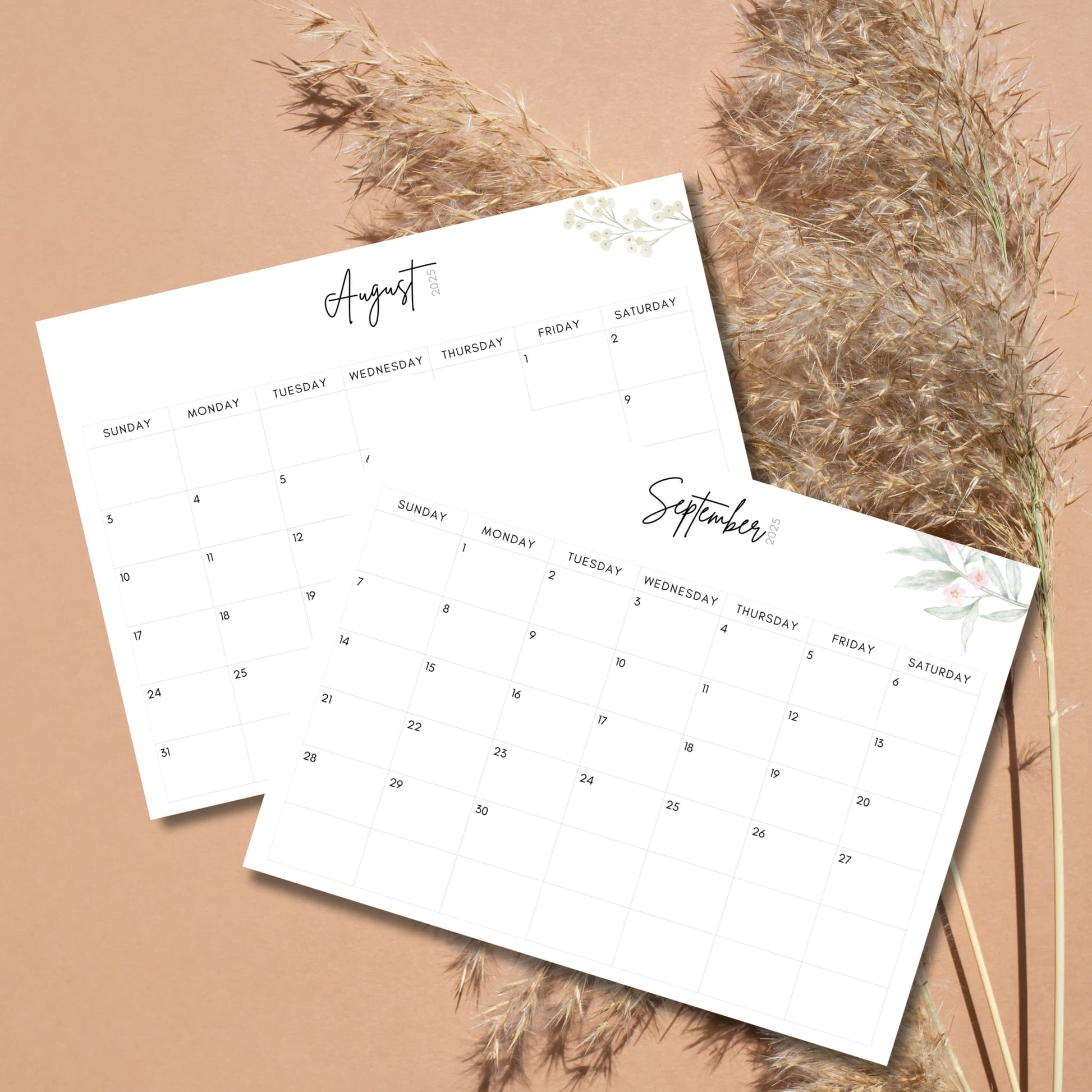 August and September 2025 calendar pages featuring minimal design, delicate script lettering, and soft watercolor botanical details, displayed with dried pampas grass