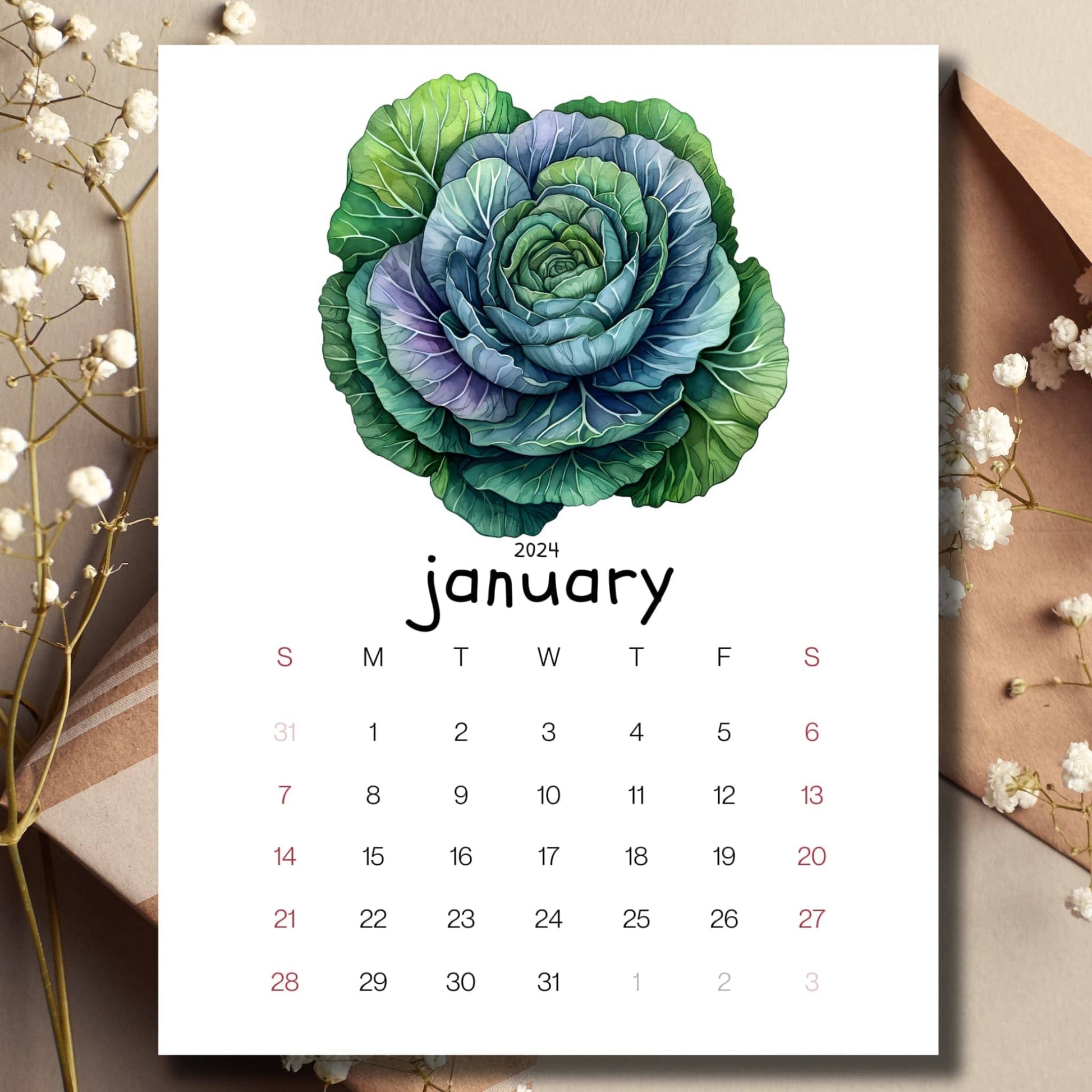 Ornamental cabbages January 2024 full year calendar displayed on a table with an envelope and small white flowers in the background.