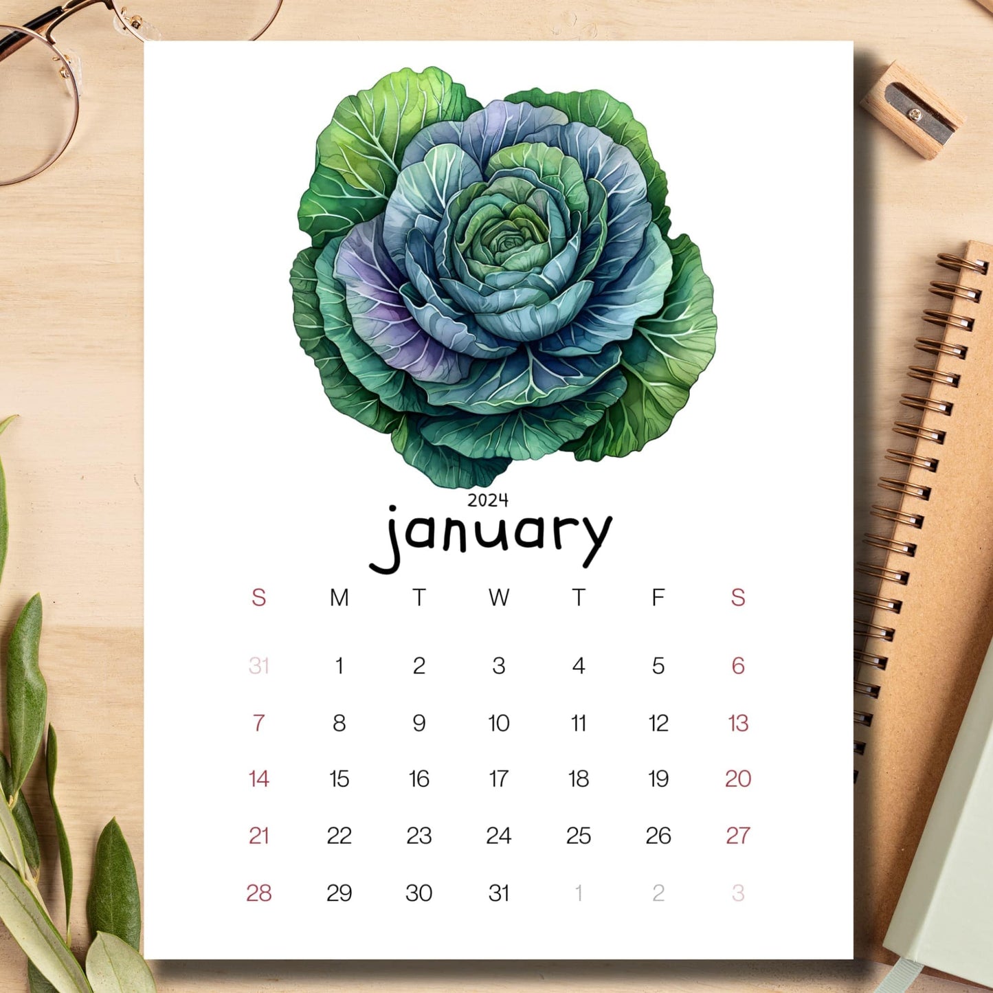 January 2024 ornamental cabbages calendar laid on a light brown desk with school supplies like a notebook, pencil, and sharpener.