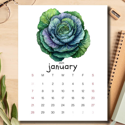 January 2024 ornamental cabbages calendar laid on a light brown desk with school supplies like a notebook, pencil, and sharpener.