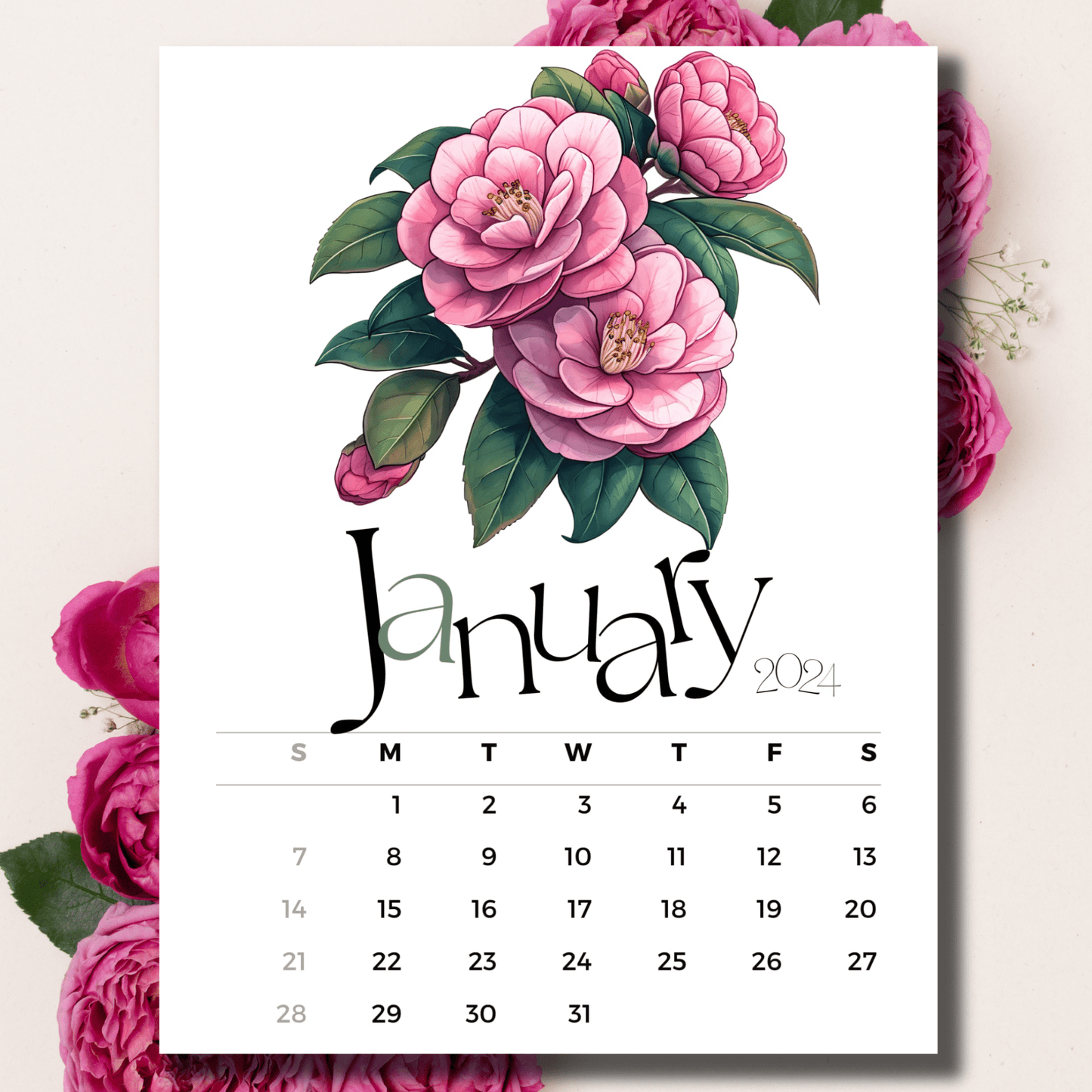 Camellia Elegance January 2024 calendar on beige background with pink peonies.