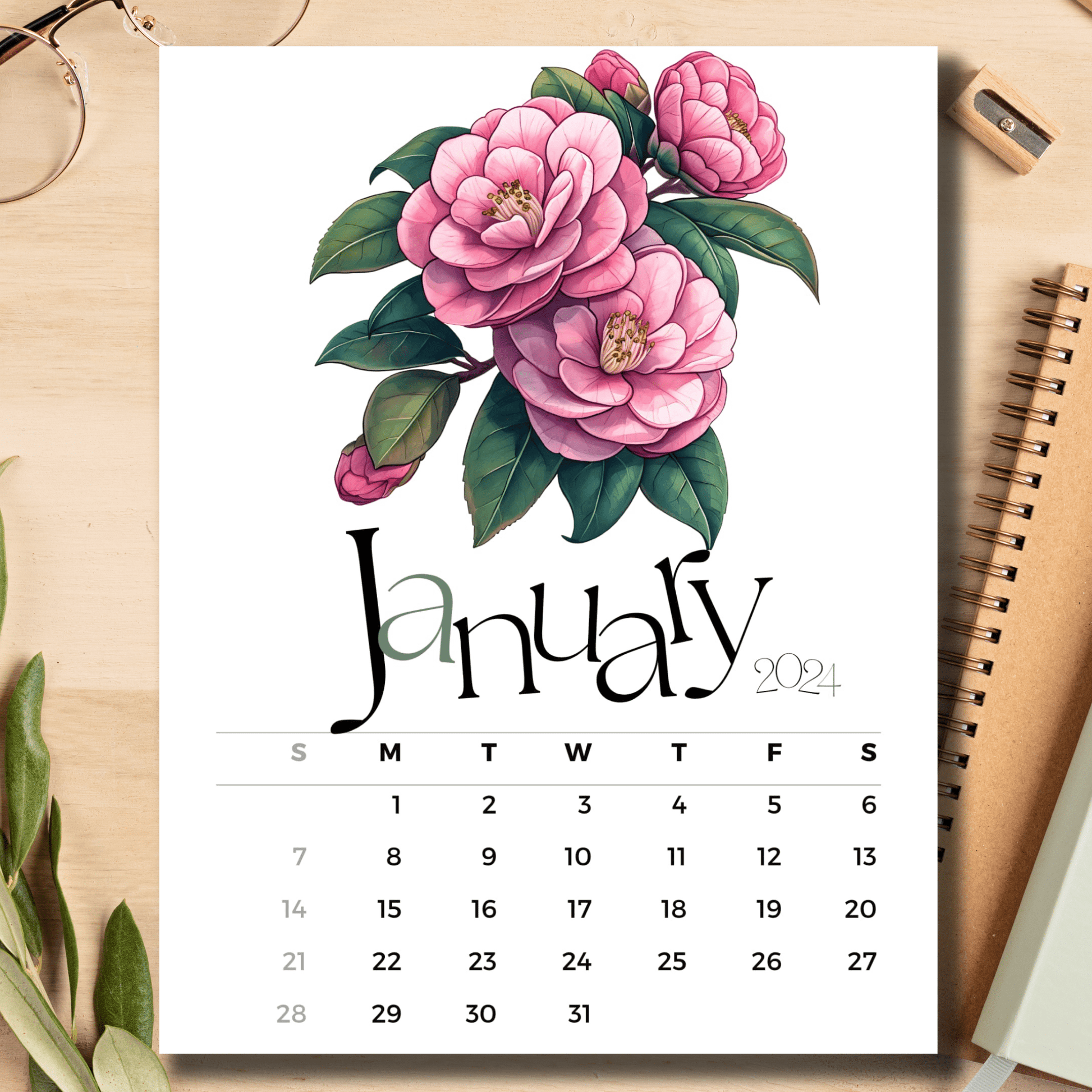 Camellia Elegance January 2024 calendar on light brown wooden desk with school supplies like a notebook, pencil, sharpener.