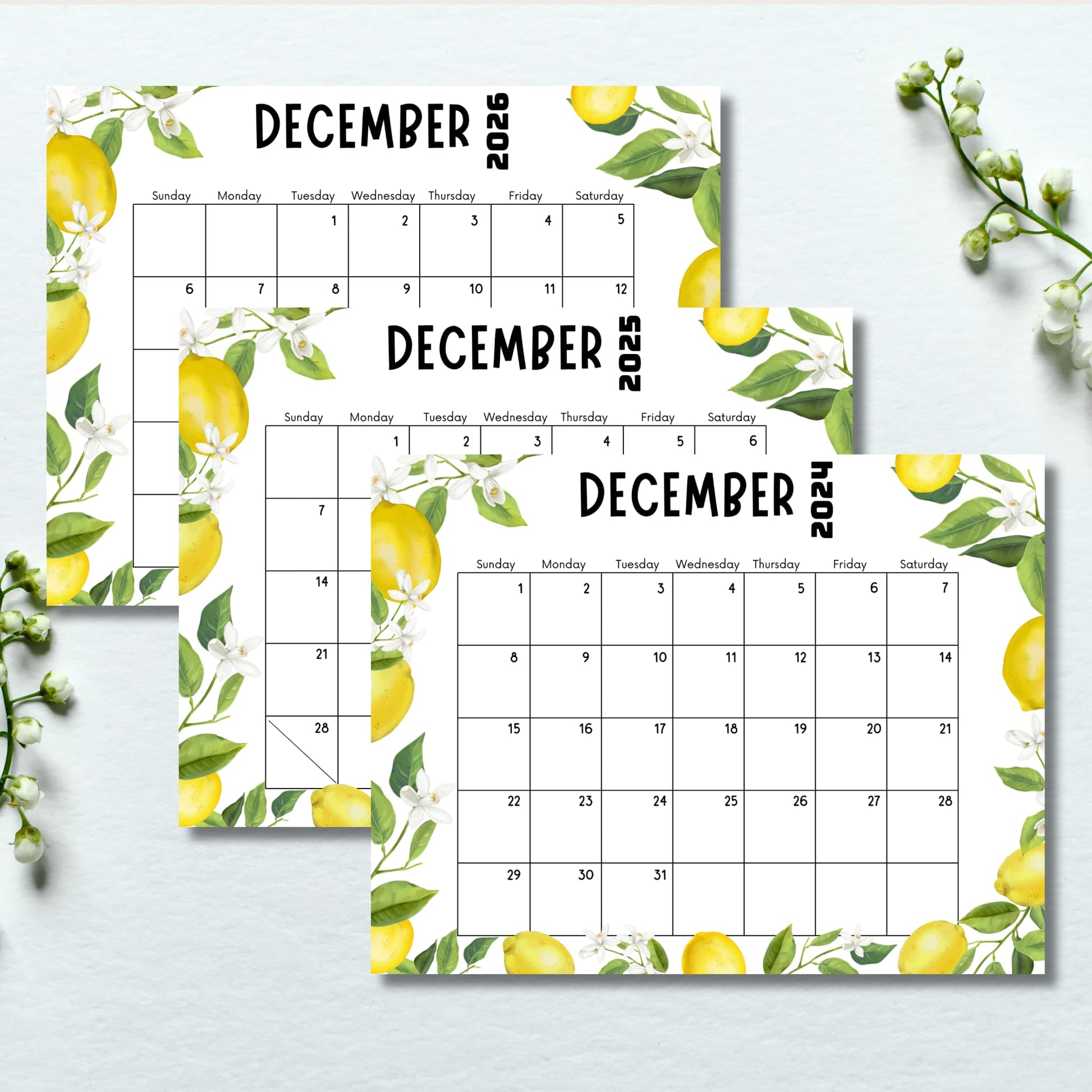 Set of three December calendars 2024-2026 with lemon and floral illustrations. Displayed on pale blue background with delicate white flower buds, emphasizing fresh winter botanical theme.