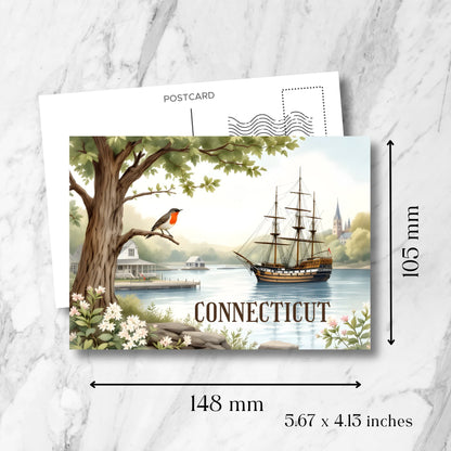 Connecticut vintage postcard size demonstration showing 148mm width by 105mm height (5.67 x 4.13 inches) with standard postcard layout template overlay