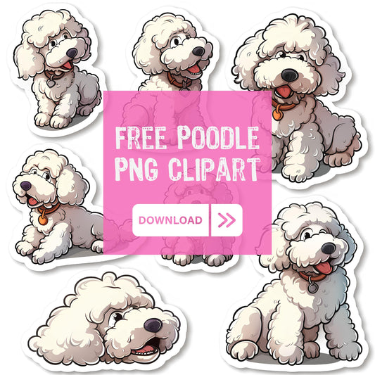 Cute 10 PNG Poodle Clipart Bundle