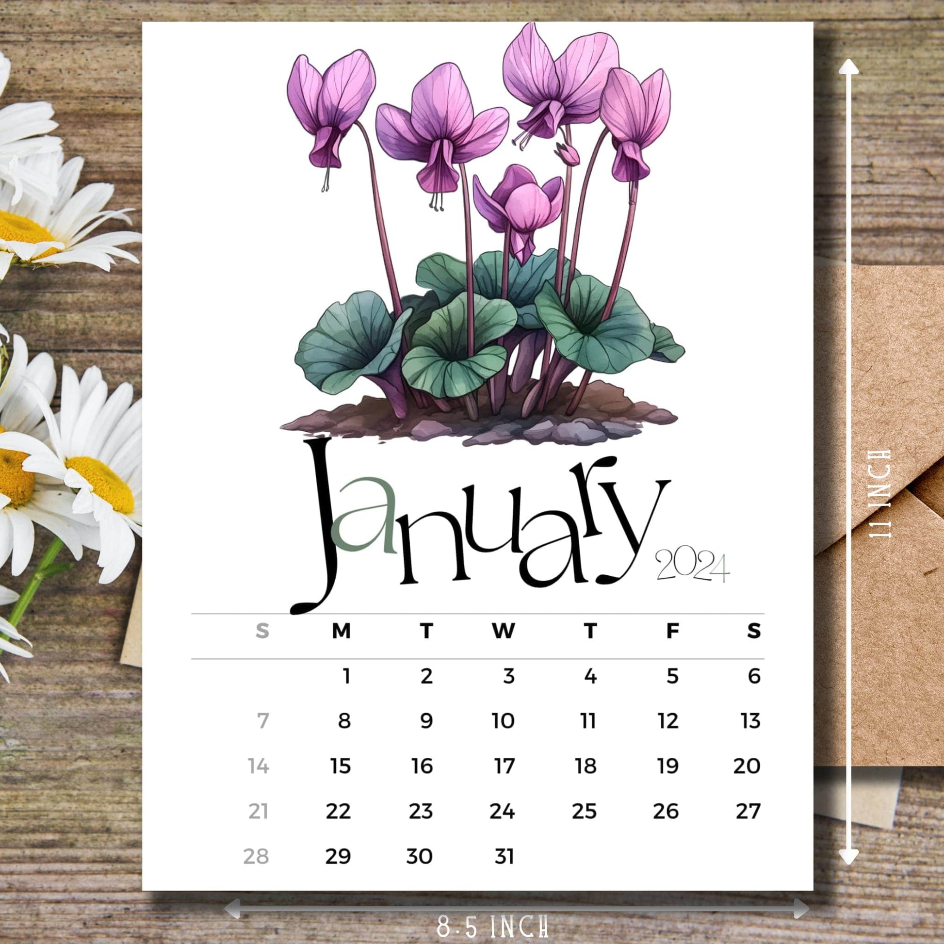 Cyclamen Charm January 2024 calendar on wooden desk with white flowers and size guide.