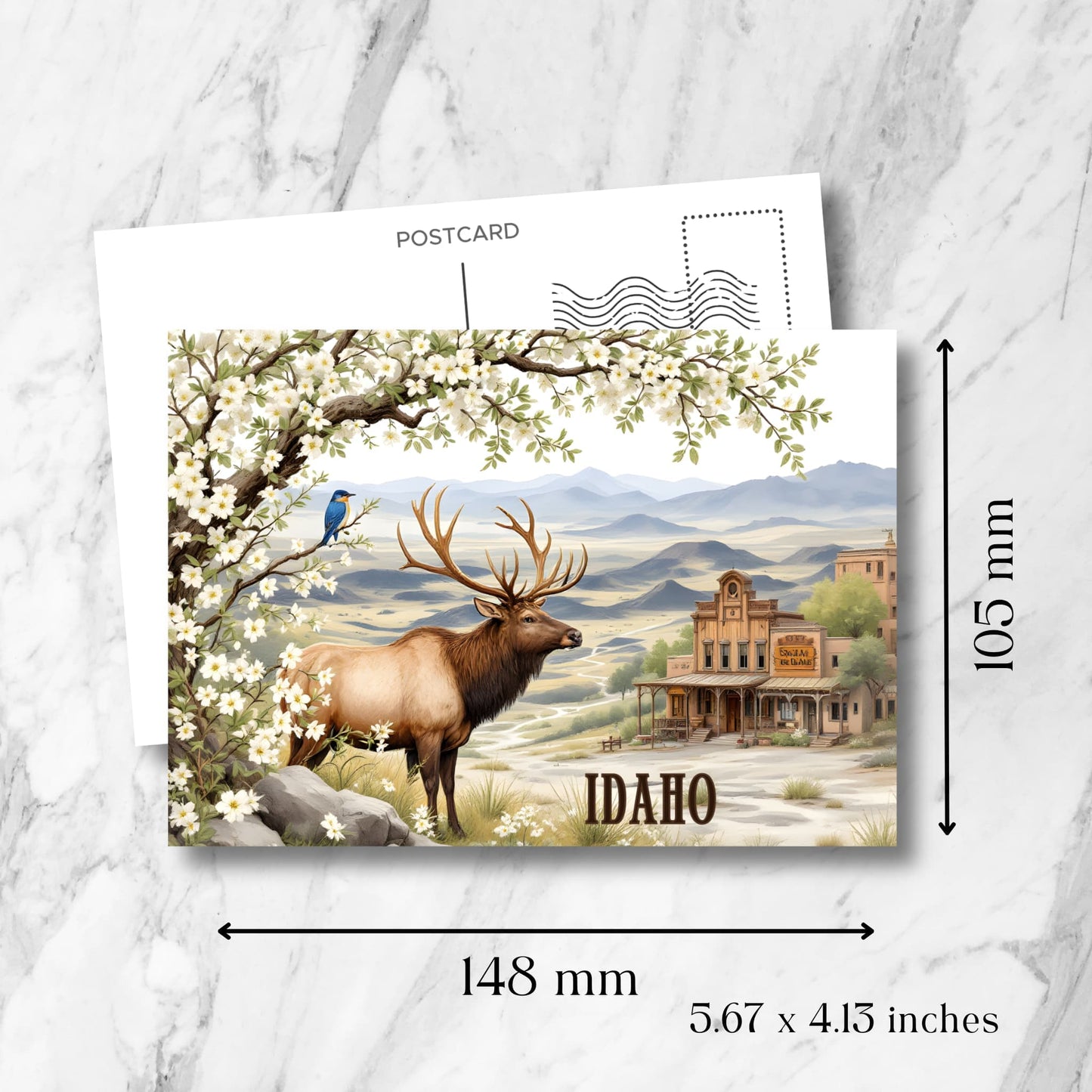 Idaho souvenir postcard size specifications showing 148mm width and 105mm height, featuring elk and Western scenery with white dogwood branches