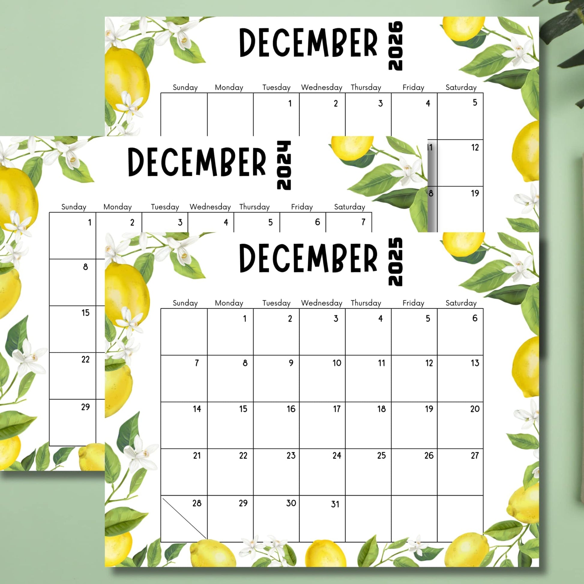 December calendars for 2024-2026 with lemon illustrations on mint green background. Staggered arrangement highlights yellow fruit and white flower border designs for end-of-year planning.