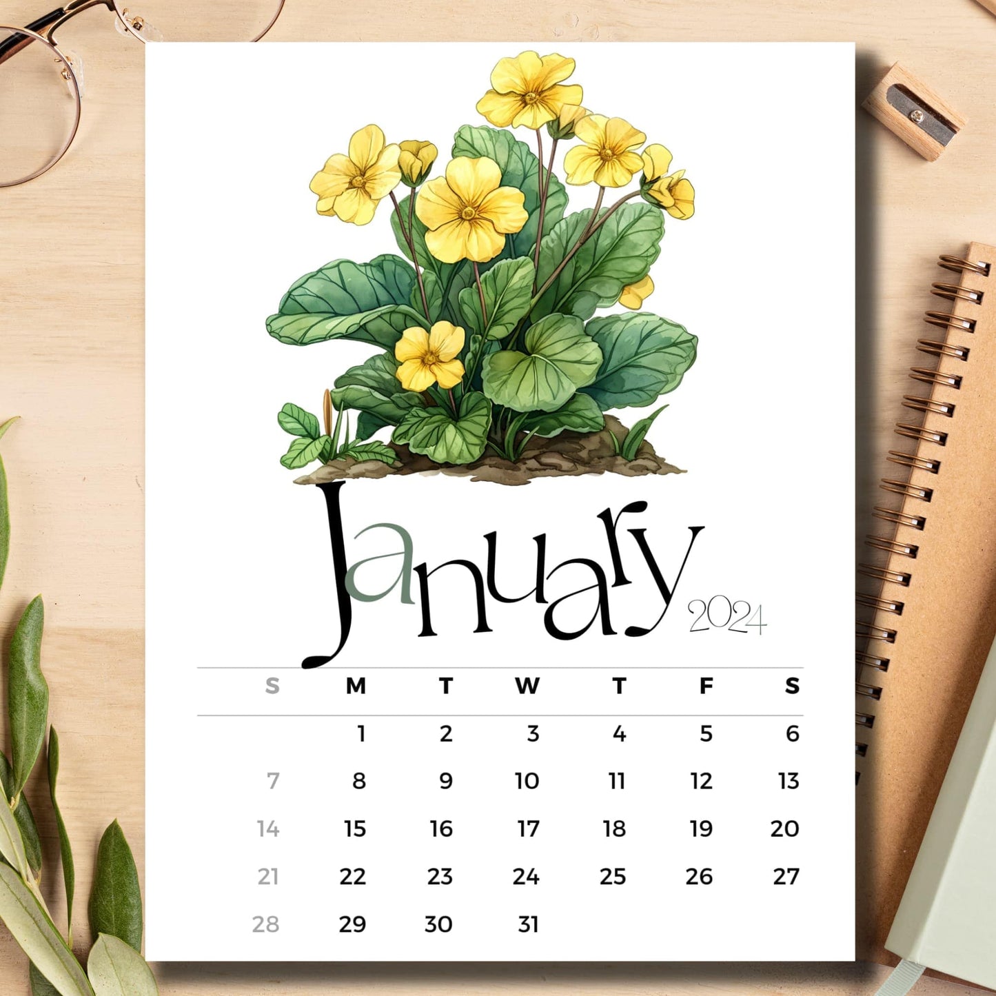  Early Primrose floral January 2024 calendar on light brown wooden desk with school supplies like notebook and pencil.