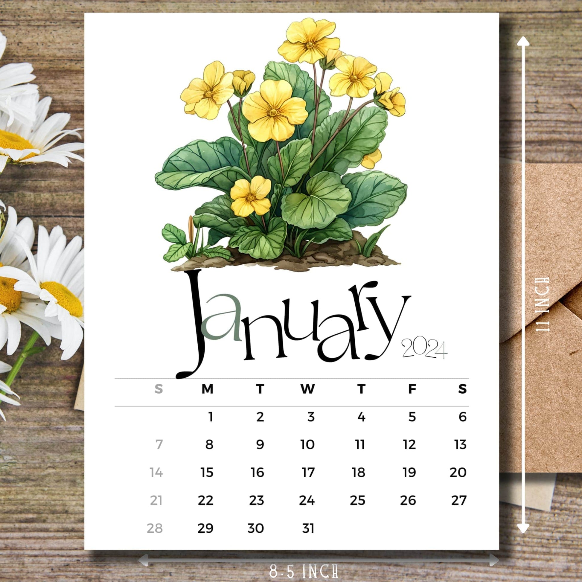 Early Primrose floral January 2024 calendar on wooden desk with white flowers and size guide.