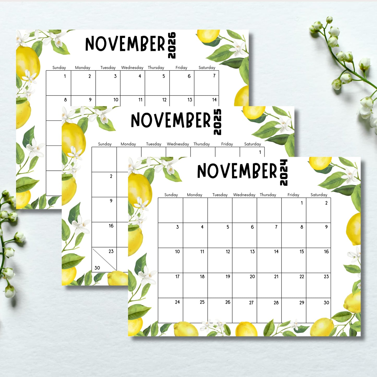 Set of three November calendars 2024-2026 with lemon and floral illustrations. Displayed on light blue background with white flower sprigs, emphasizing botanical theme.