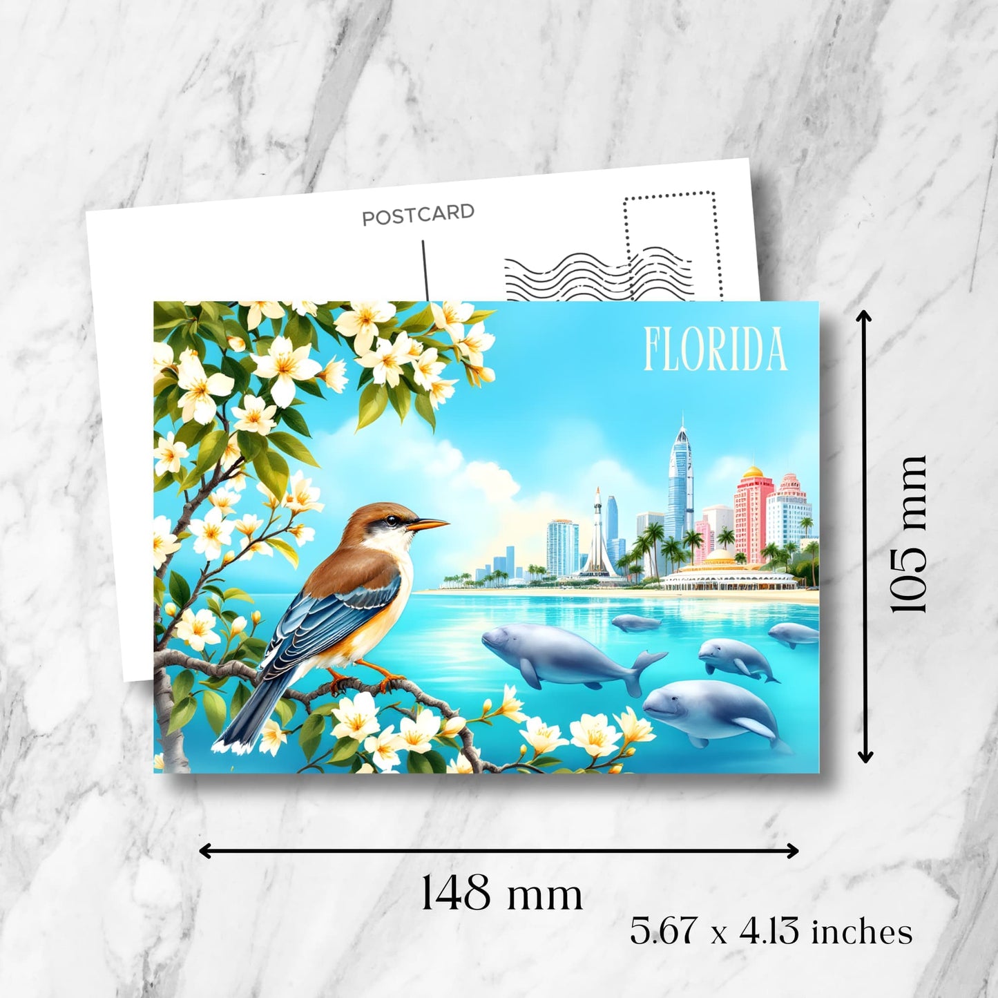 Florida coastal postcard size guide (148x105mm) featuring manatees in turquoise waters, coastal architecture, perched songbird, and blooming orange blossoms with vintage postmark template