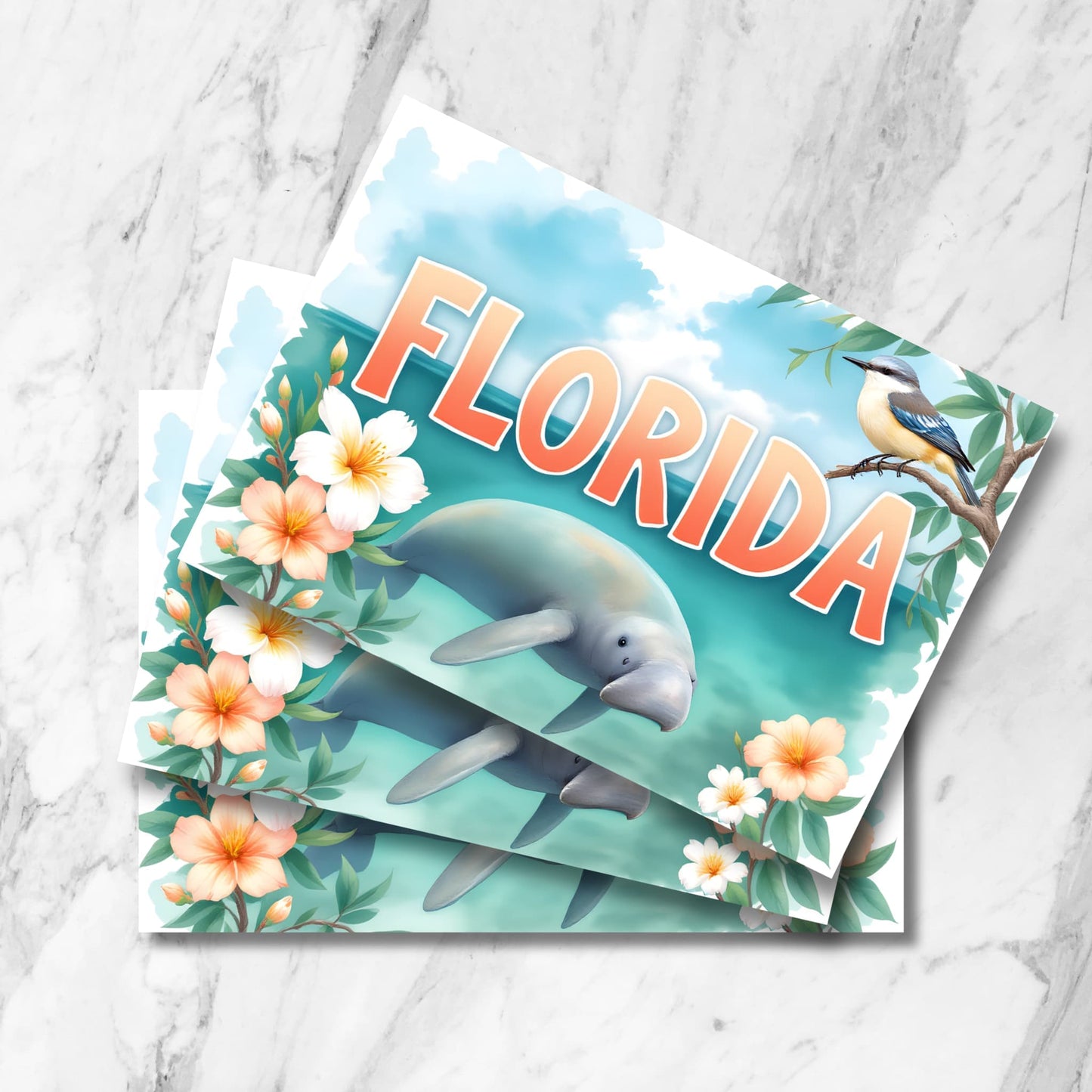 Stacked preview of Florida coastal postcards featuring gentle manatee, peach hibiscus flowers, and blue jay bird against turquoise waters in vintage watercolor style