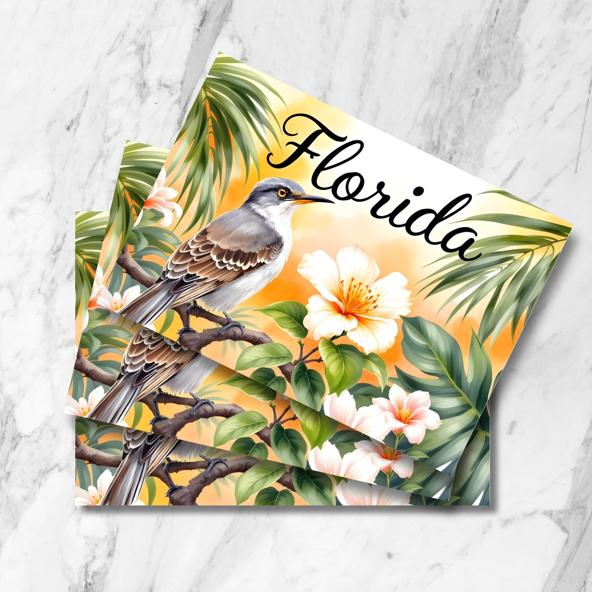 Stacked preview of Florida state bird postcards showing detailed mockingbird, peach hibiscus flowers, and palm fronds against golden sunset in vintage watercolor style