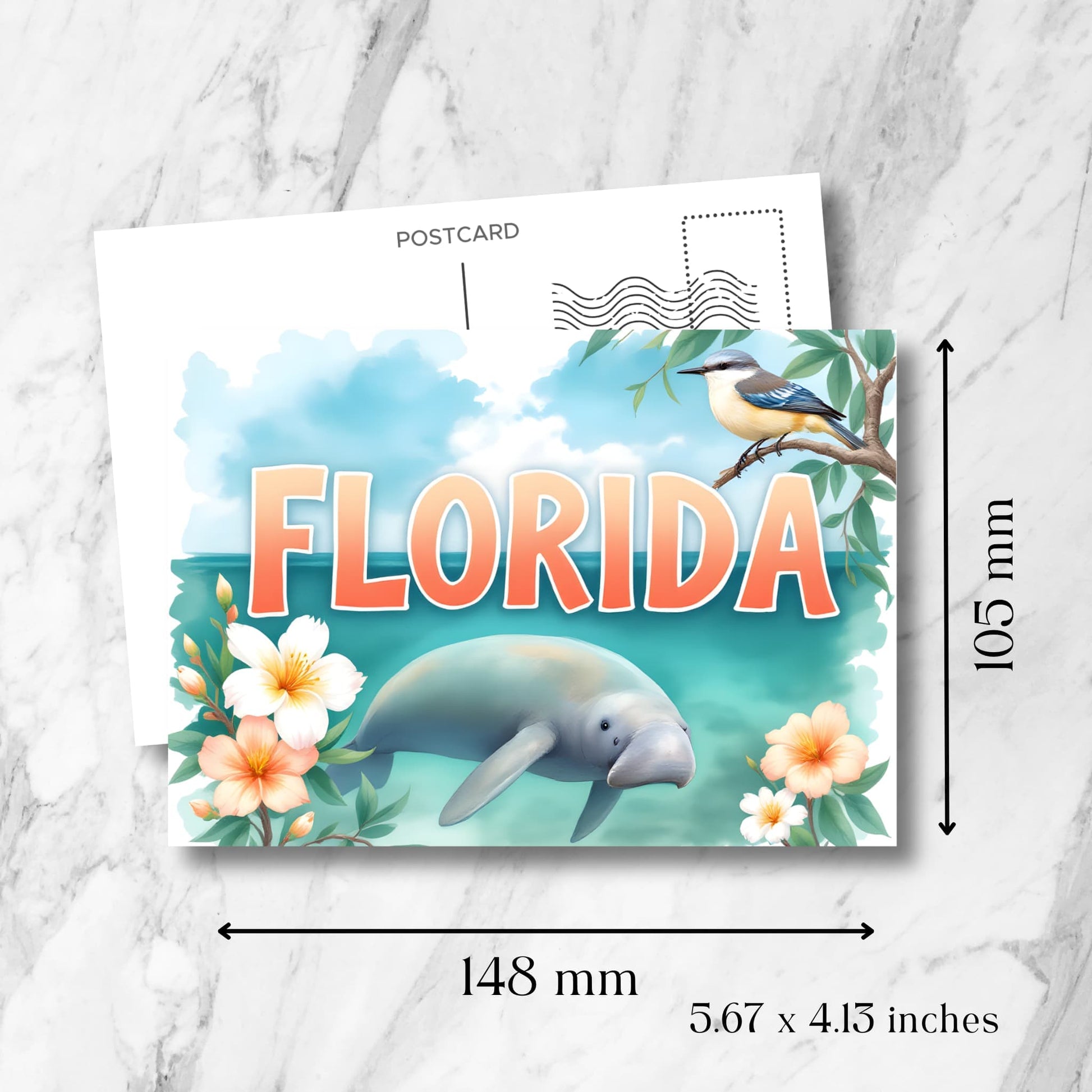 Florida coastal postcard size guide (148x105mm) showcasing swimming manatee, tropical hibiscus blooms, and perched blue jay with vintage postmark template overlay