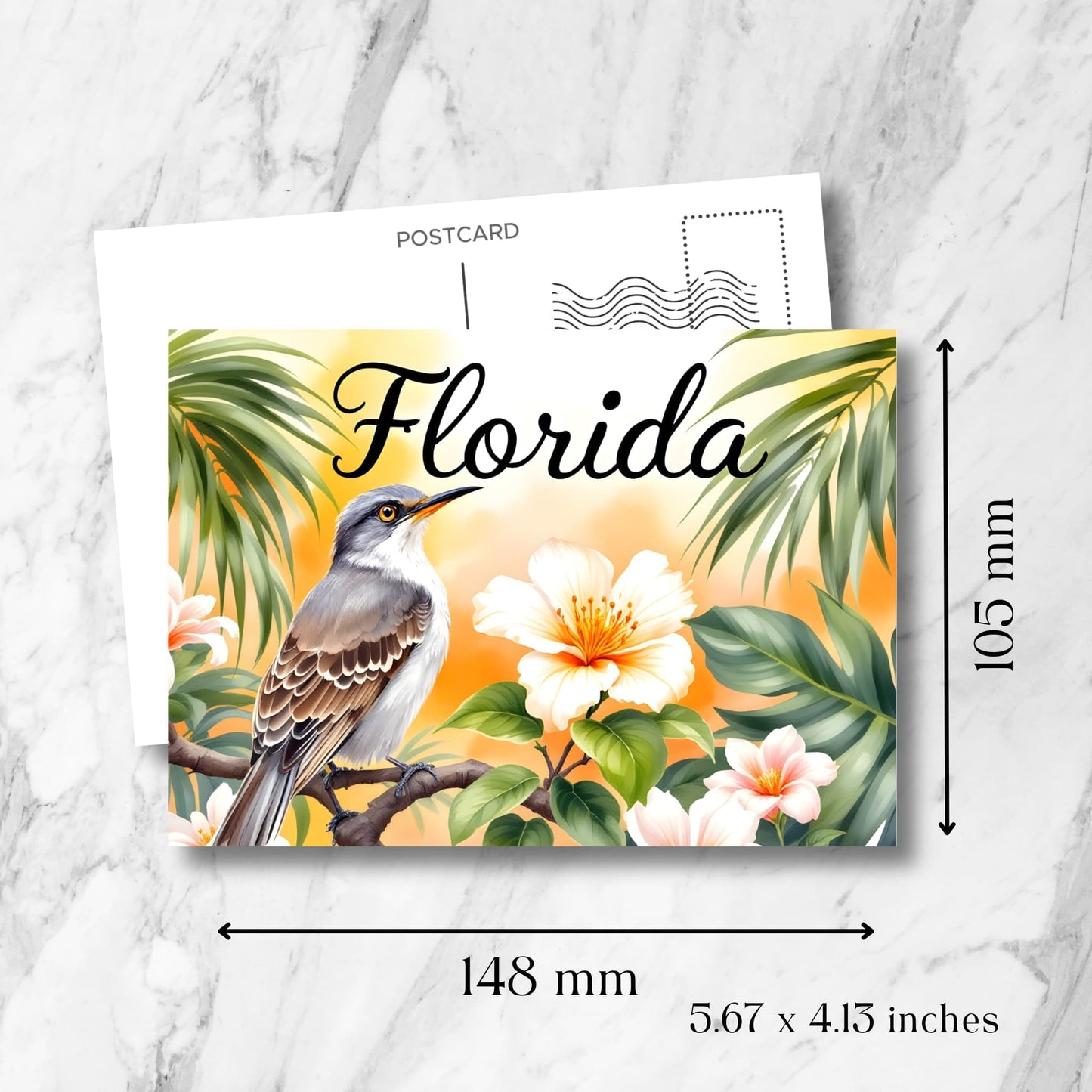 Florida mockingbird postcard size specifications (148x105mm) featuring state bird perched among hibiscus blooms and palm leaves with vintage postmark template overlay