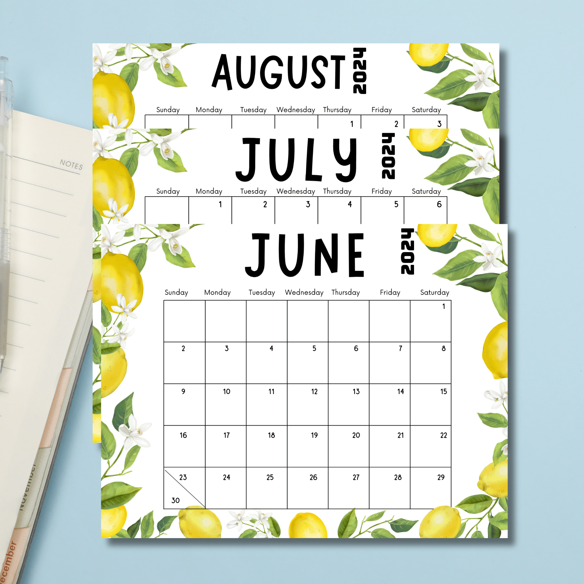 June, July & August Free 2024 Printable Monthly Calendar | A4 PDF ...