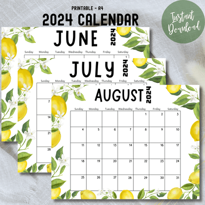free 2024 Monthly Calendar Printable for June, July and August banner image