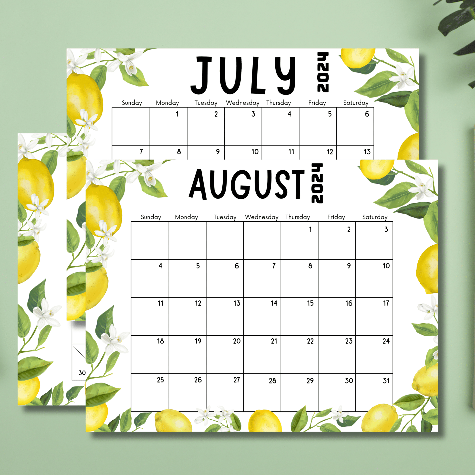 2024 printable monthly calendar templates for june, july and august on green background