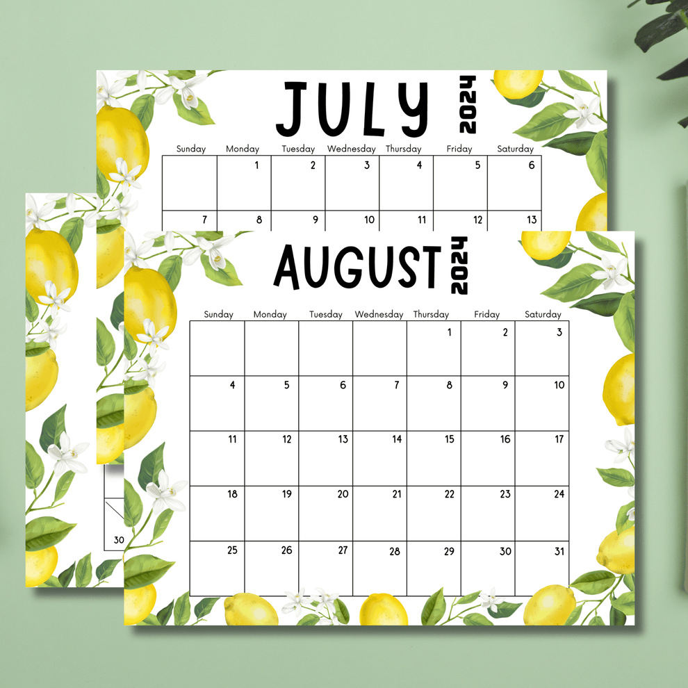 June, July & August Free 2024 Printable Monthly Calendar | A4 PDF ...